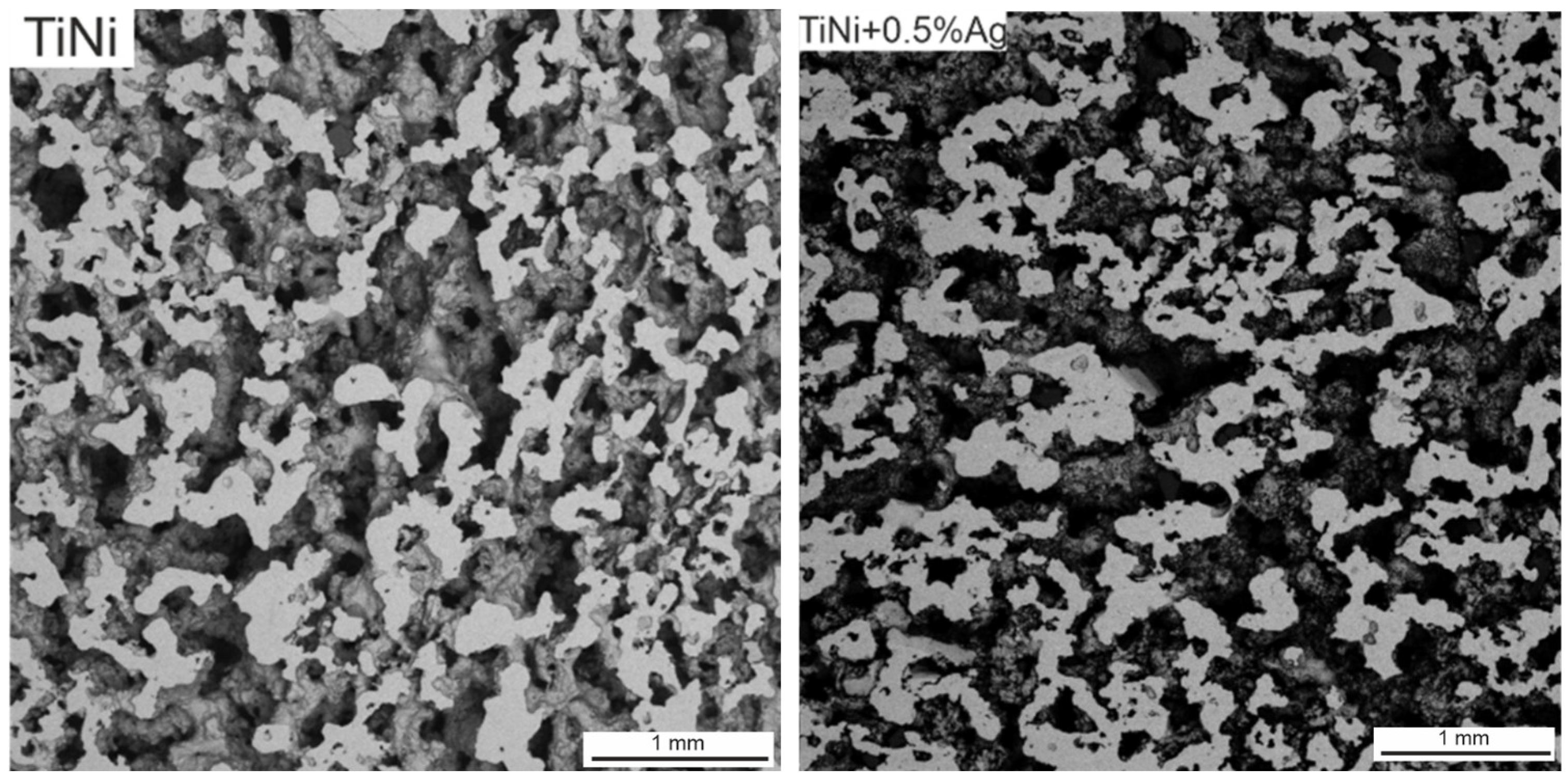 Coatings 13 00024 g003