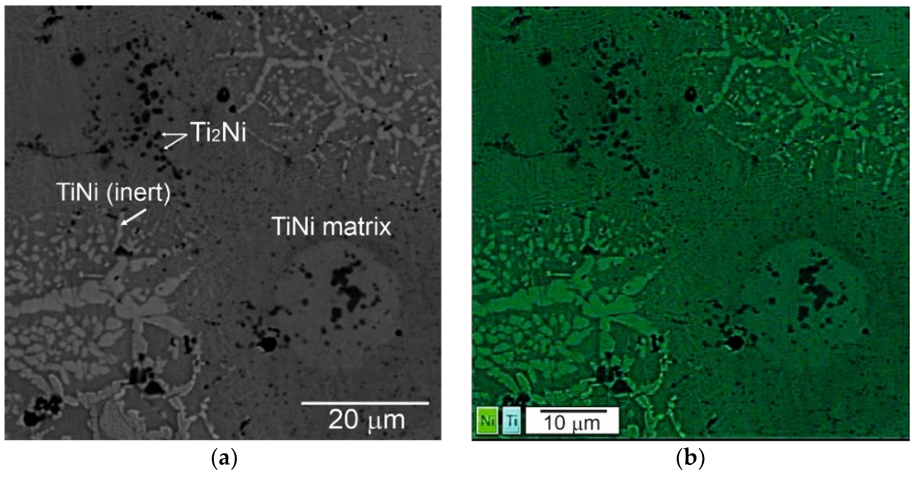 Coatings 13 00024 g004