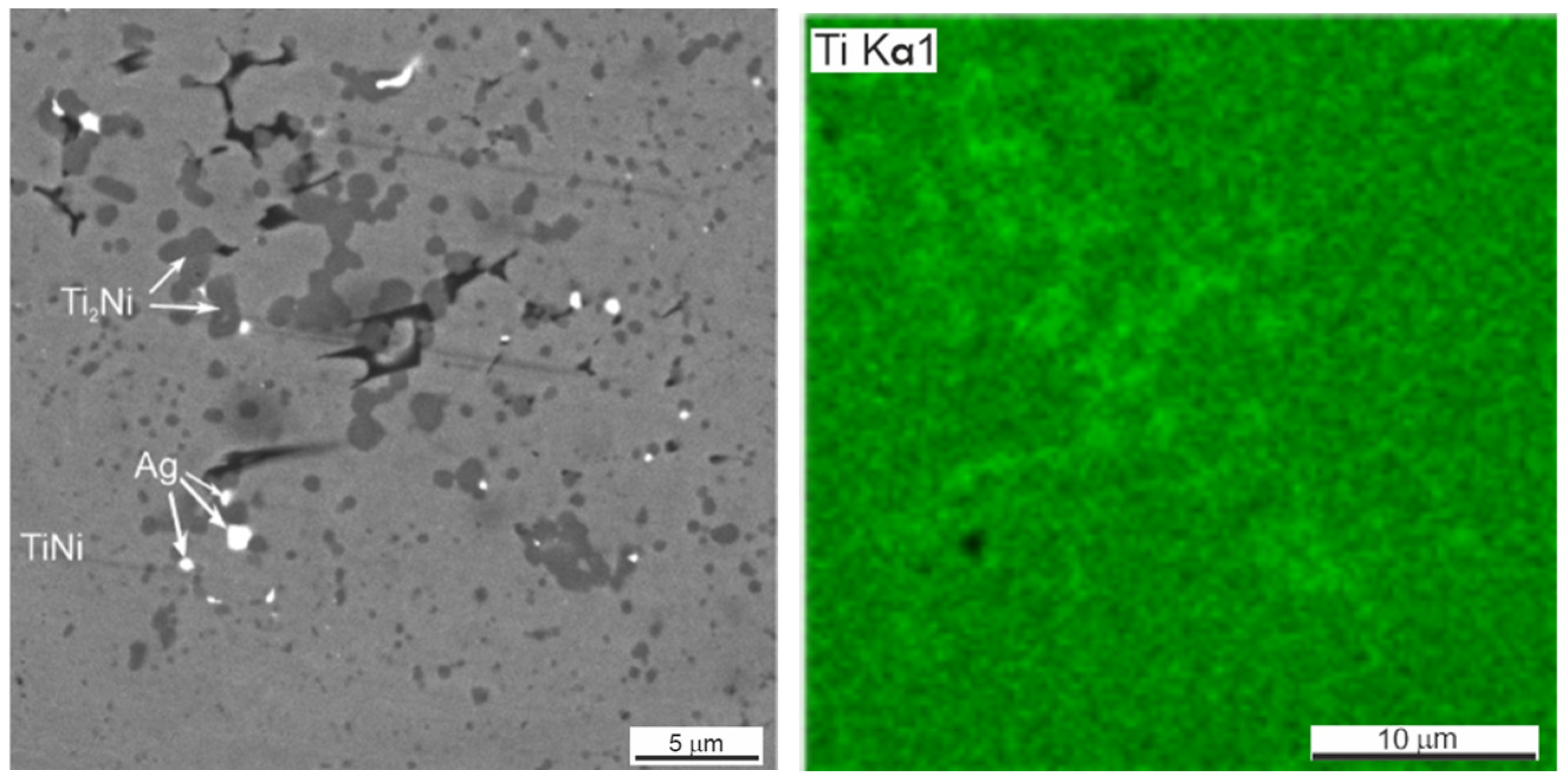Coatings 13 00024 g006a