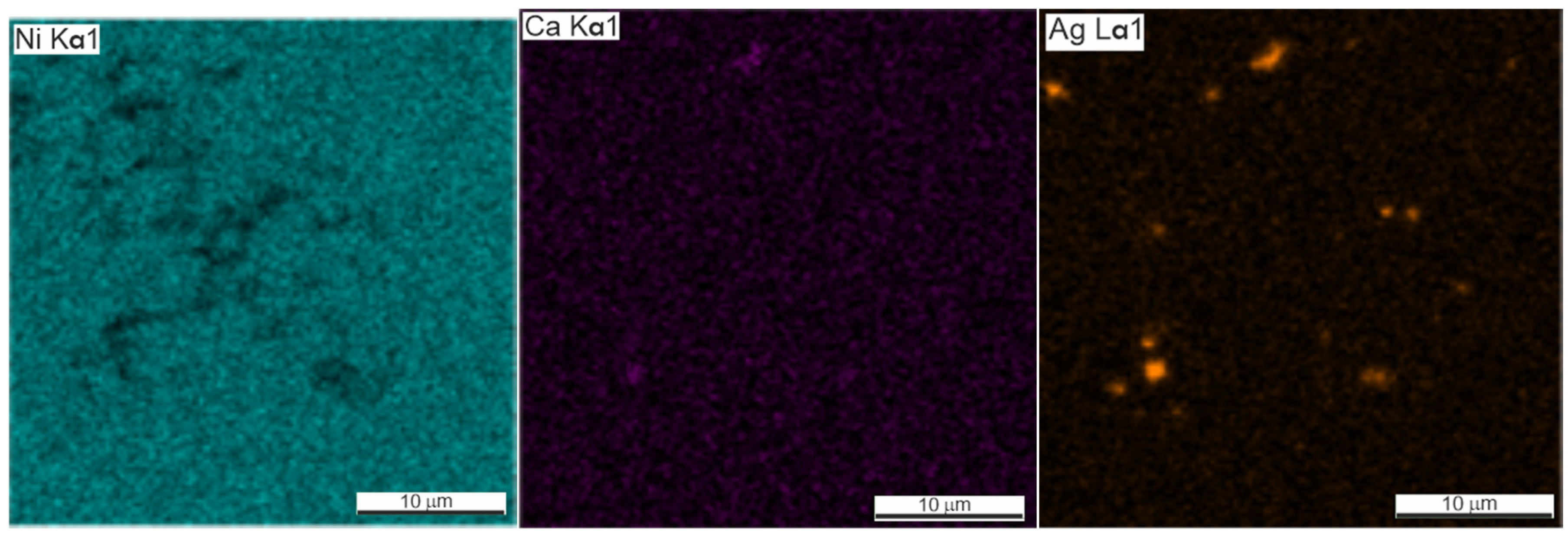 Coatings 13 00024 g006b