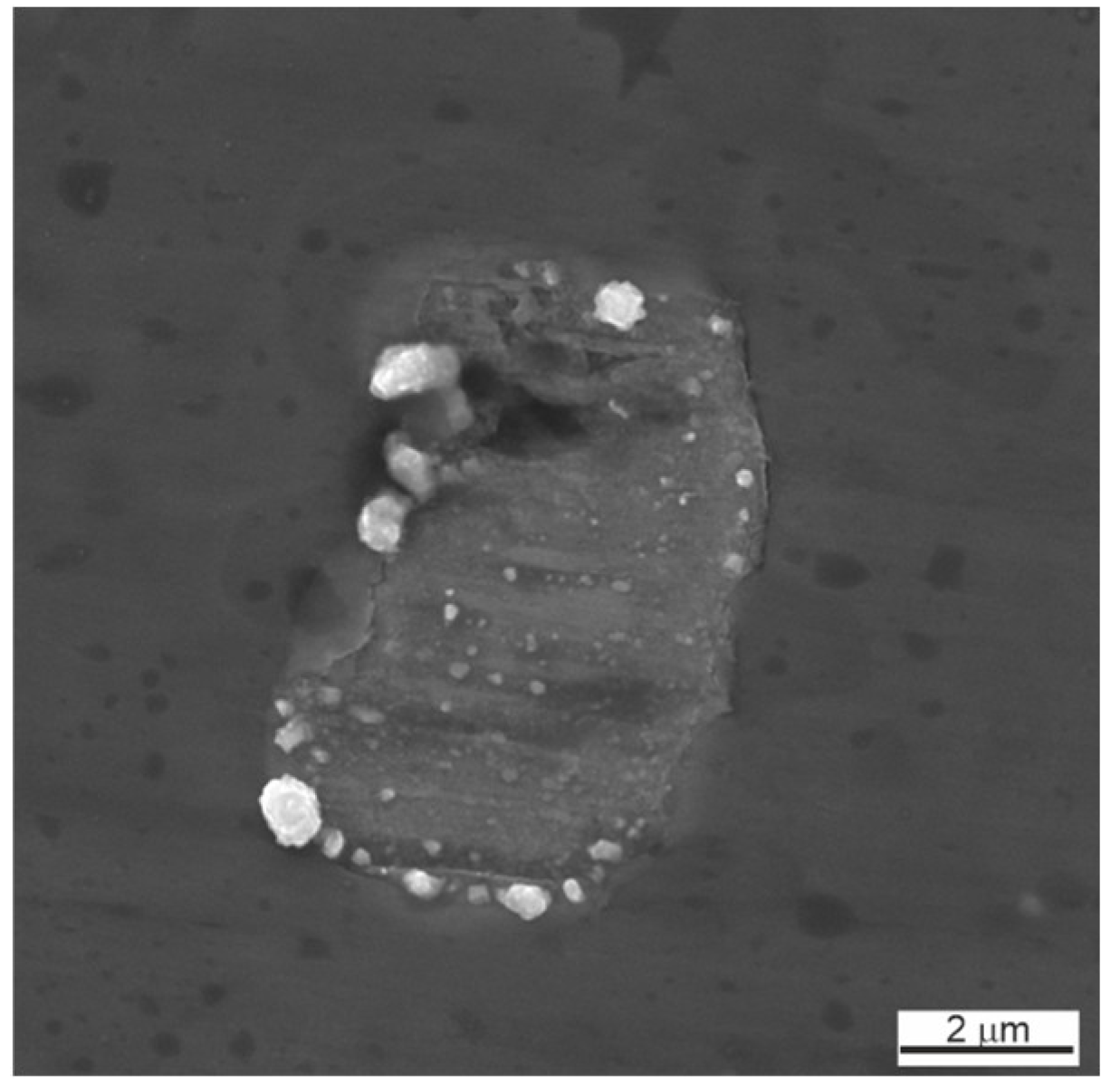 Coatings 13 00024 g007a
