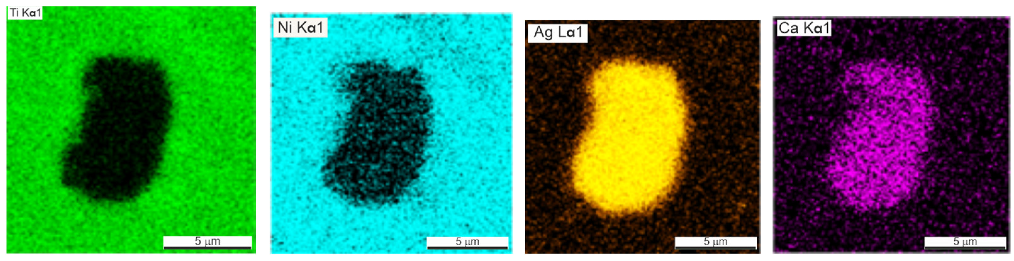 Coatings 13 00024 g007b