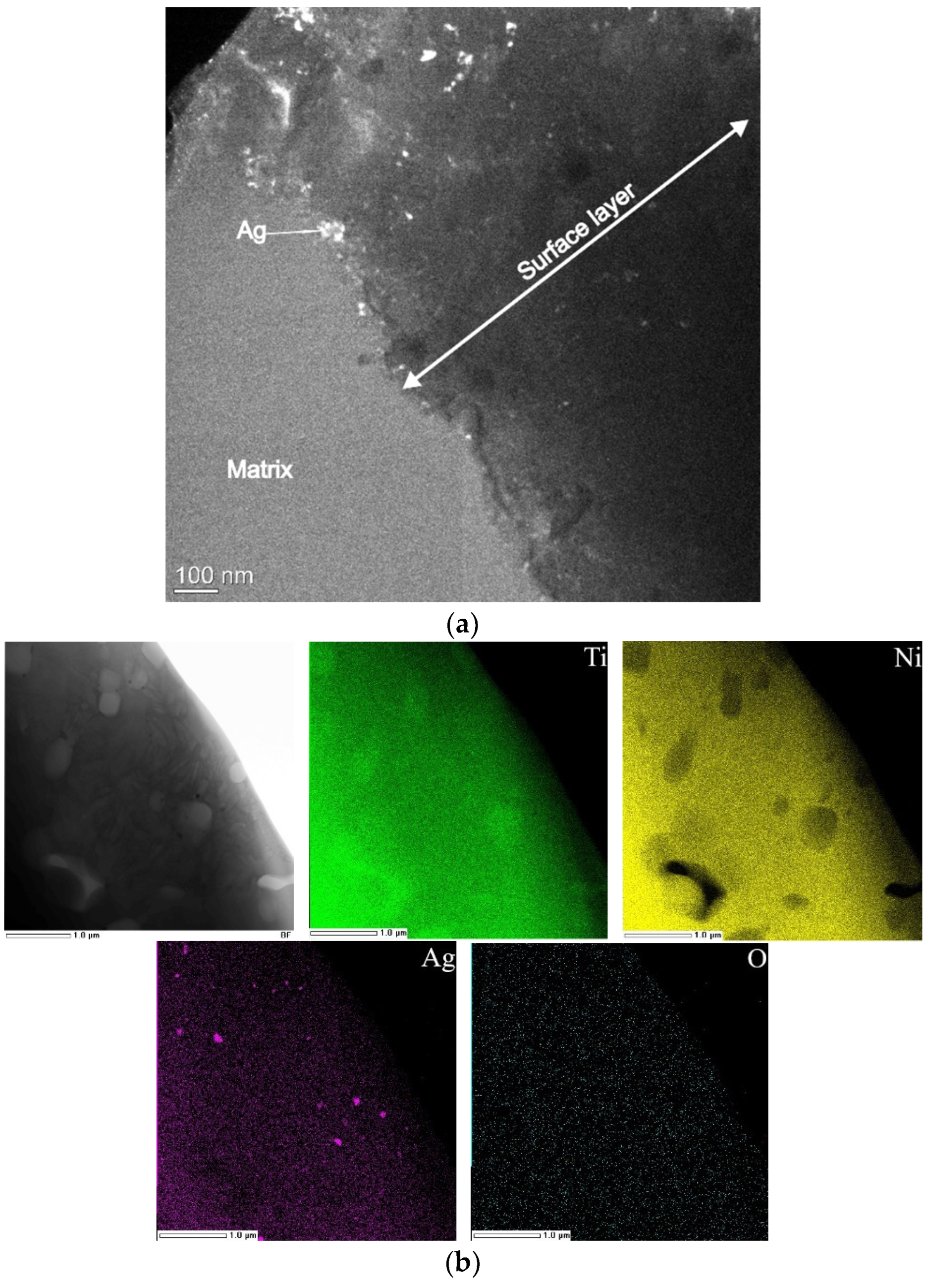 Coatings 13 00024 g009
