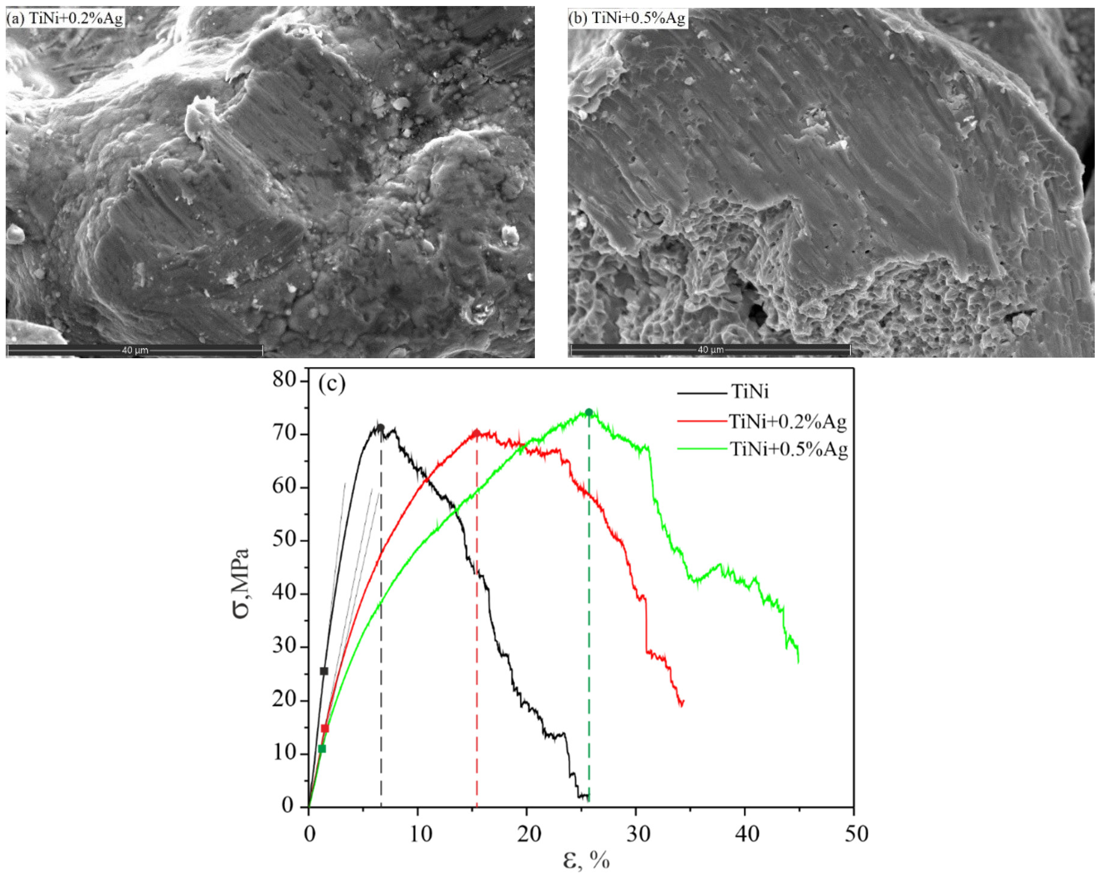 Coatings 13 00024 g010