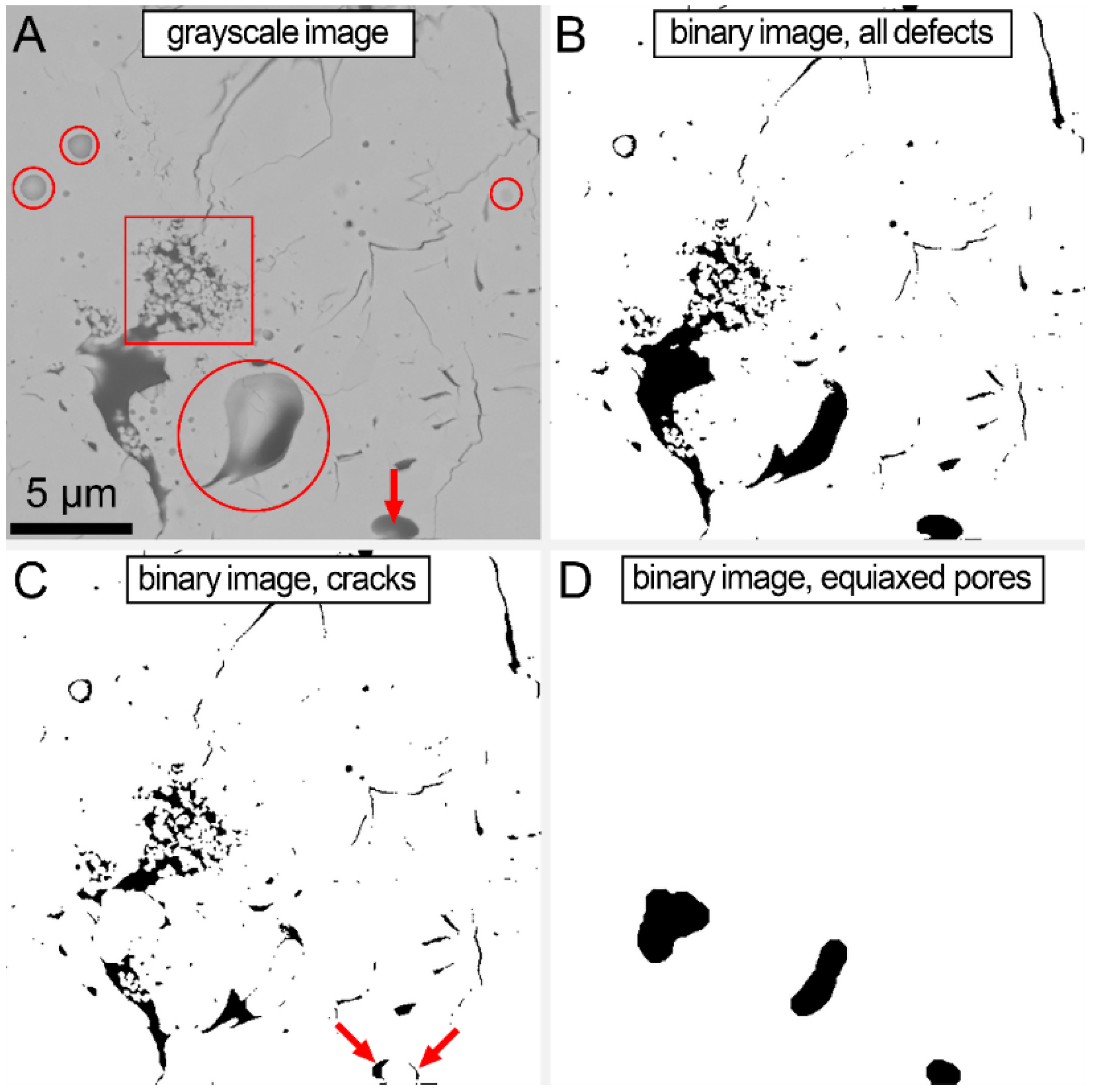Coatings 13 00029 g001