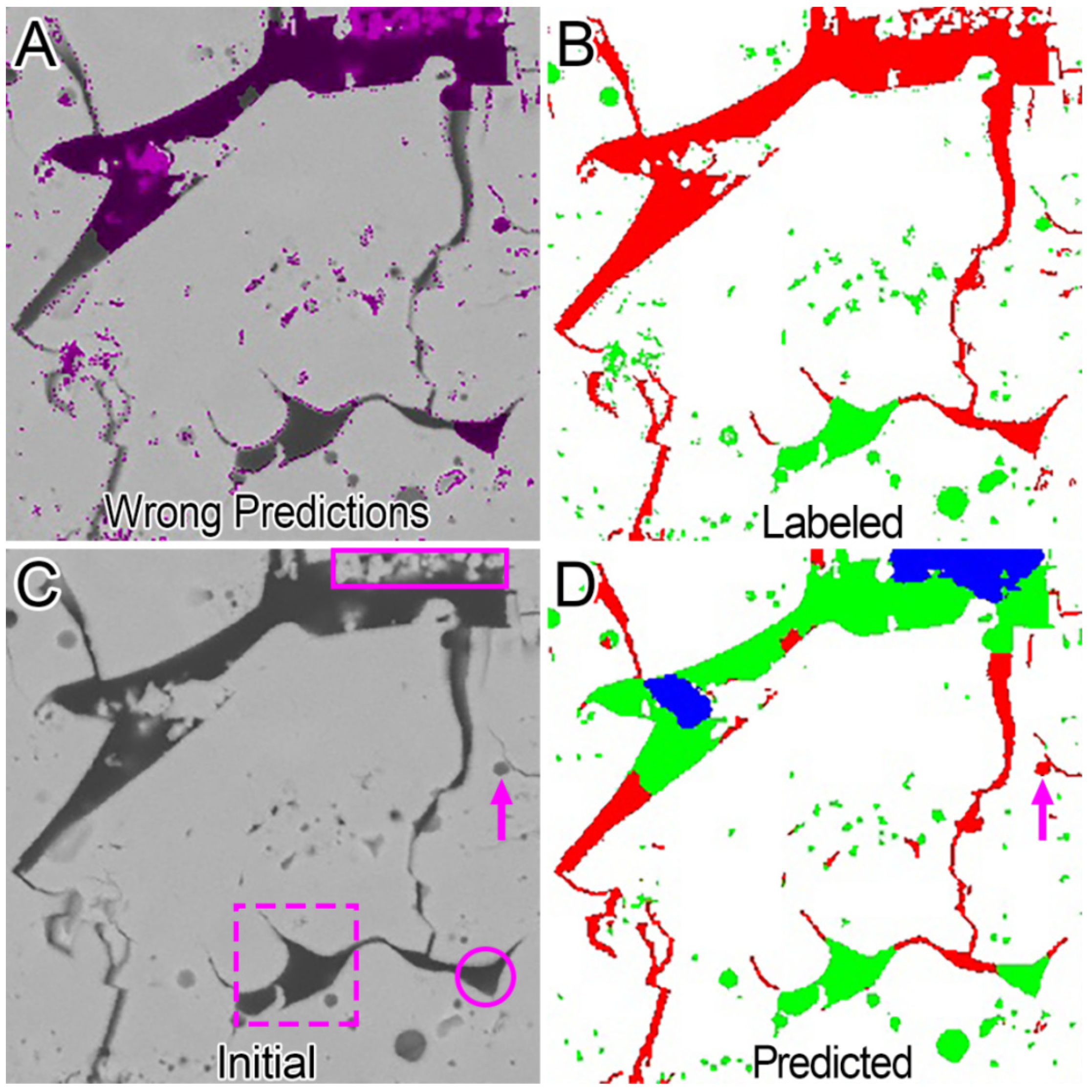 Coatings 13 00029 g017