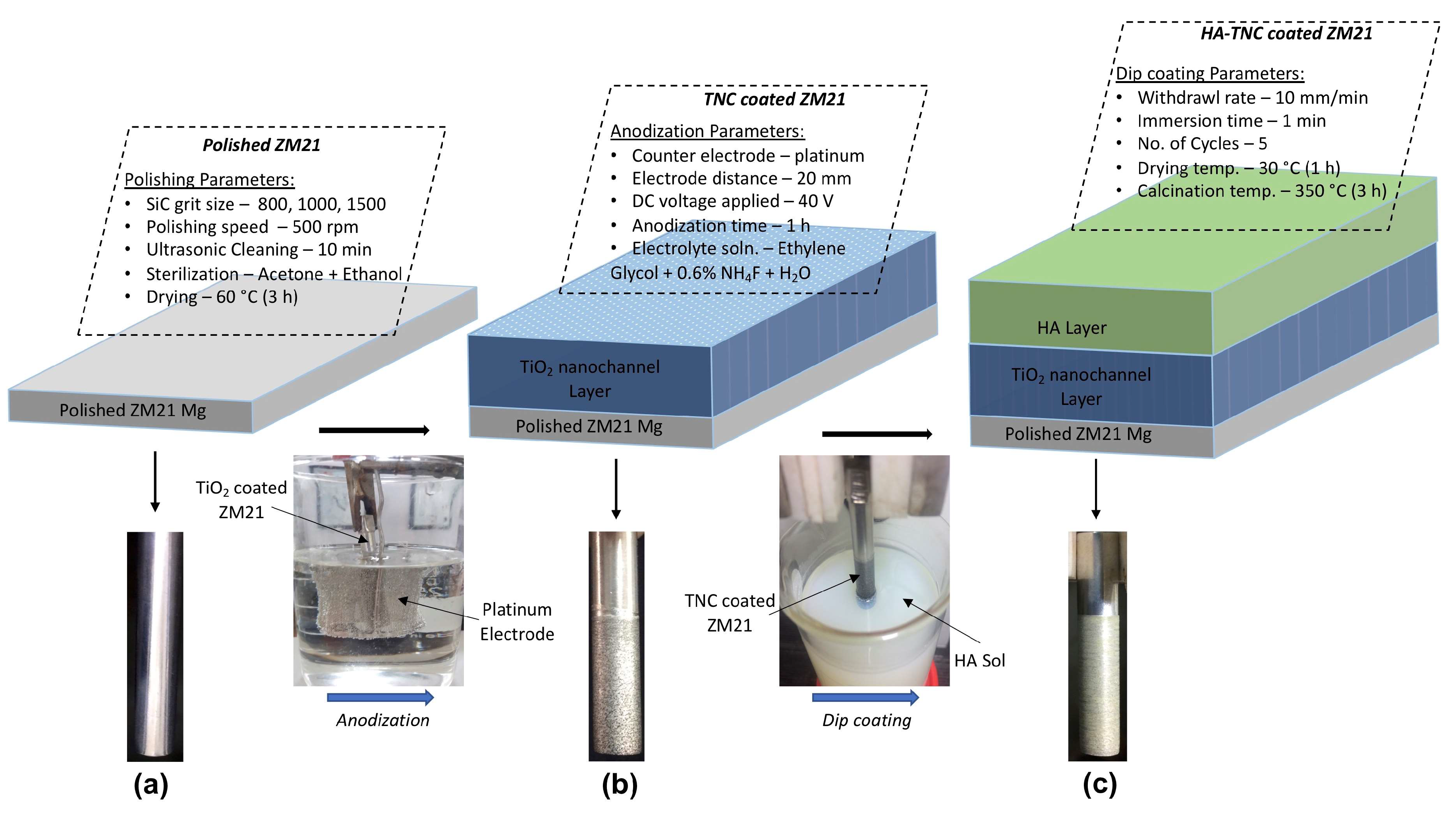 Coatings 13 00030 g001