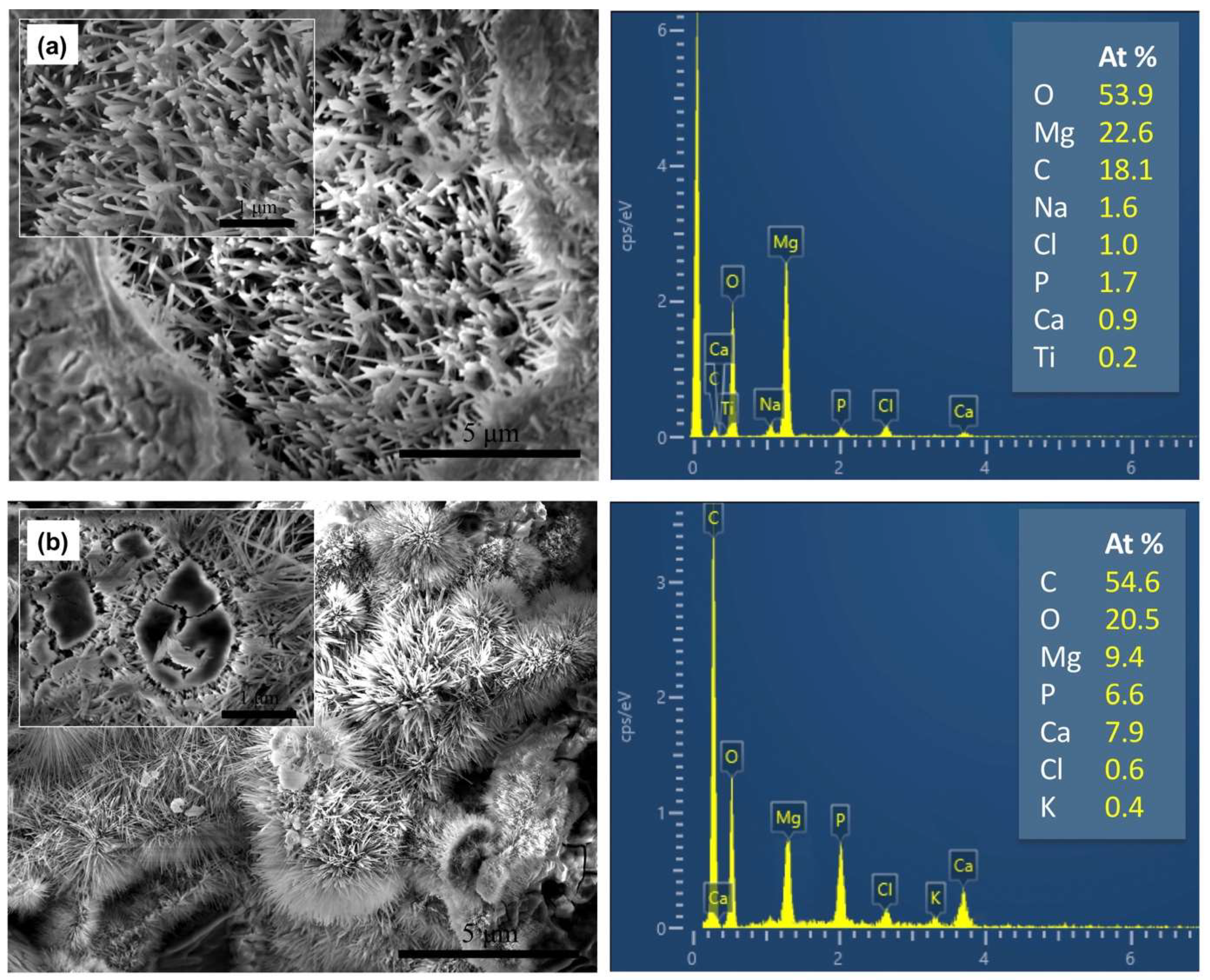 Coatings 13 00030 g008