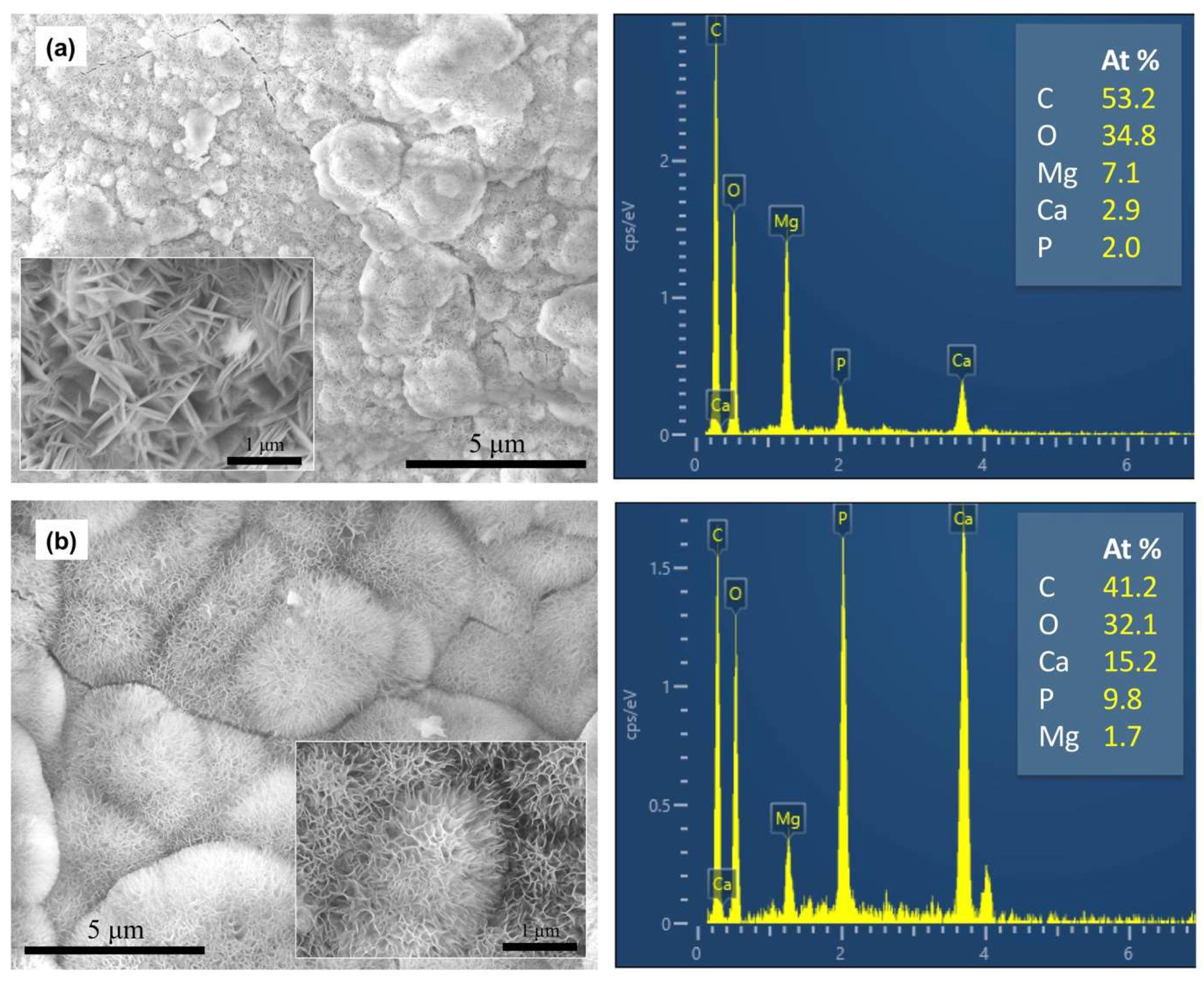 Coatings 13 00030 g009