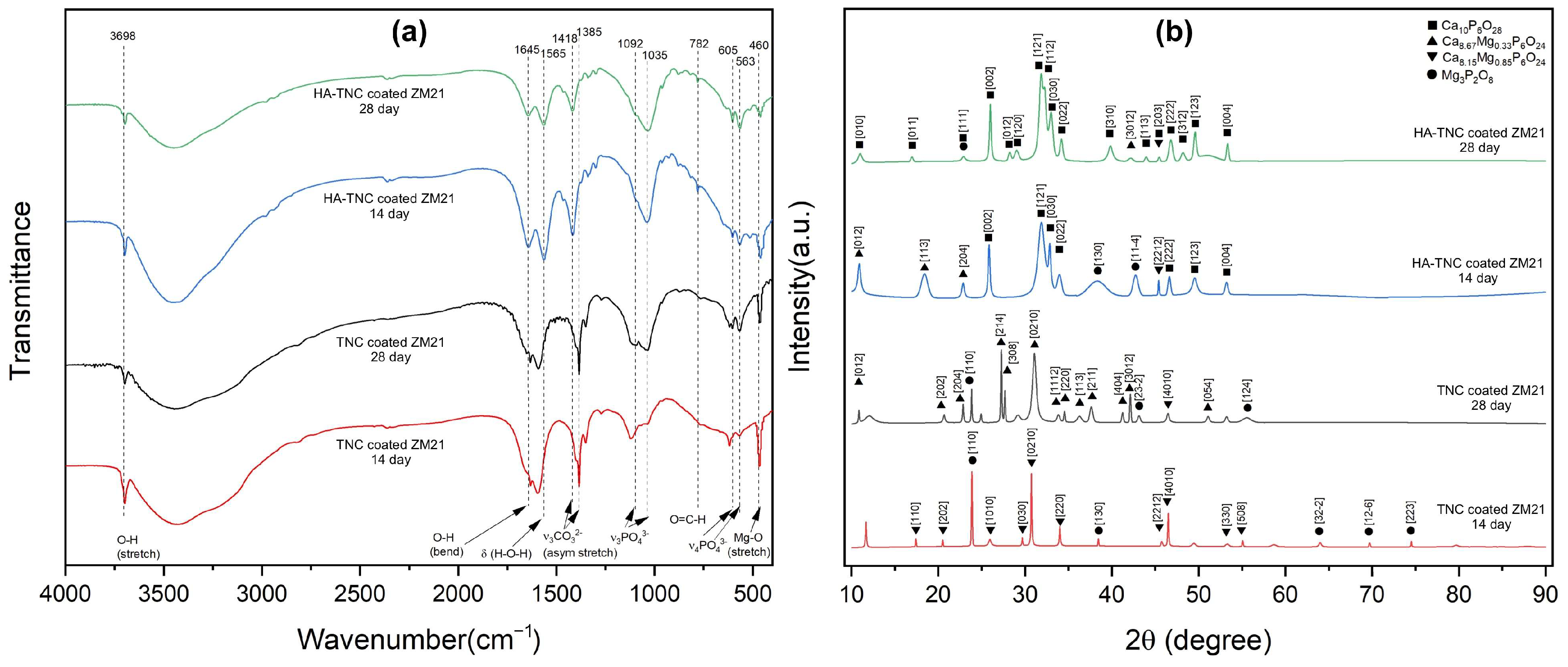 Coatings 13 00030 g011