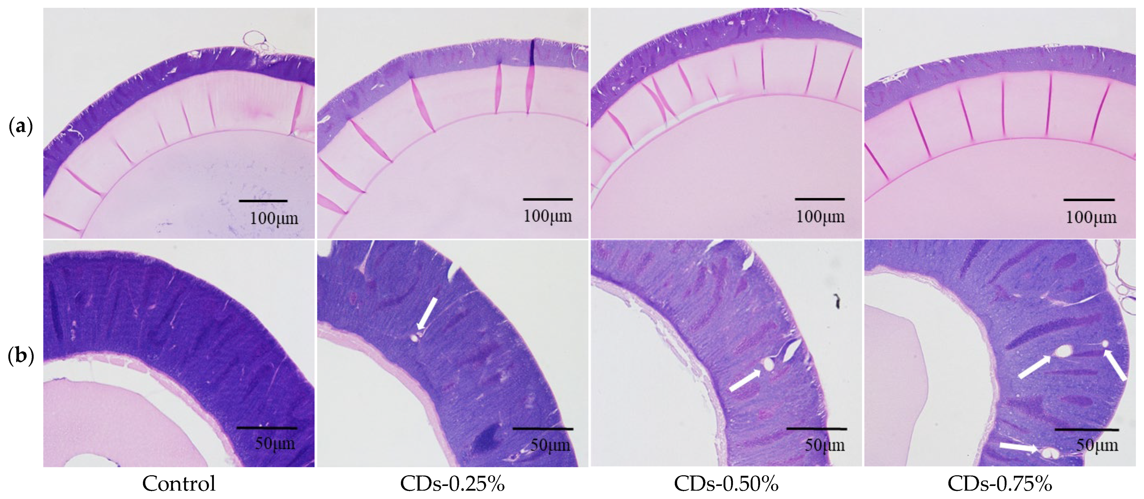 Coatings 13 00031 g003