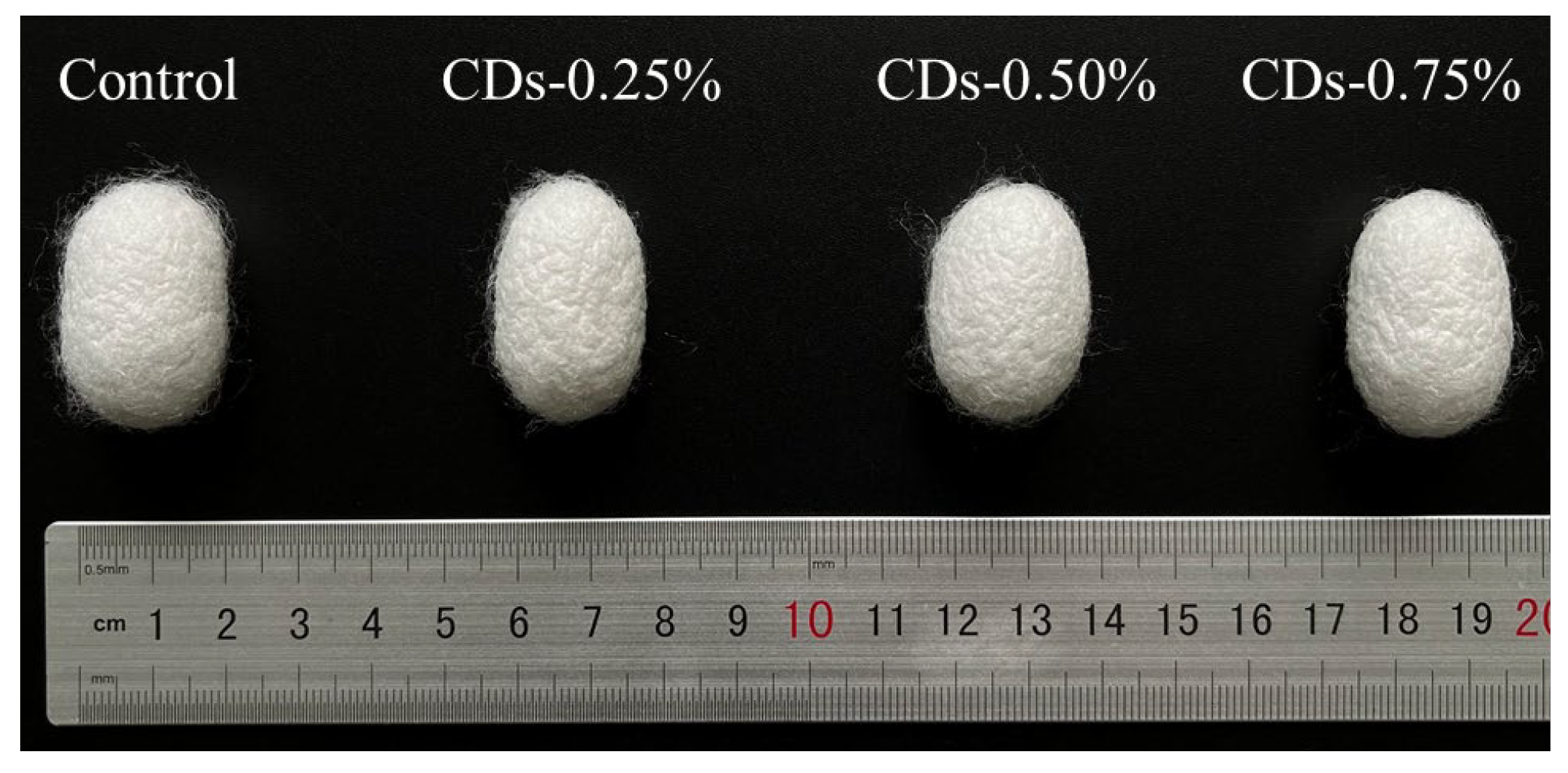 Coatings 13 00031 g004