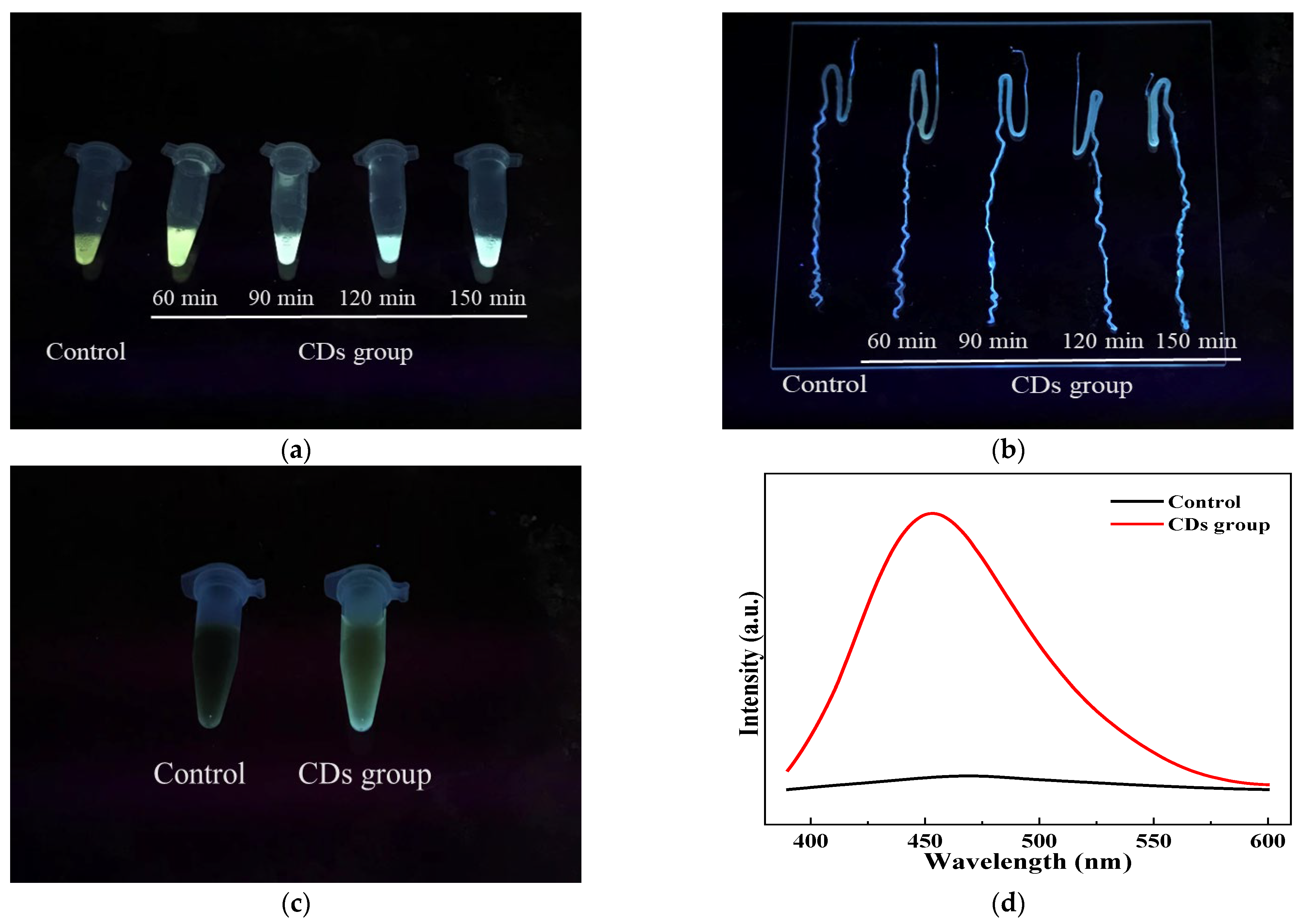 Coatings 13 00031 g005
