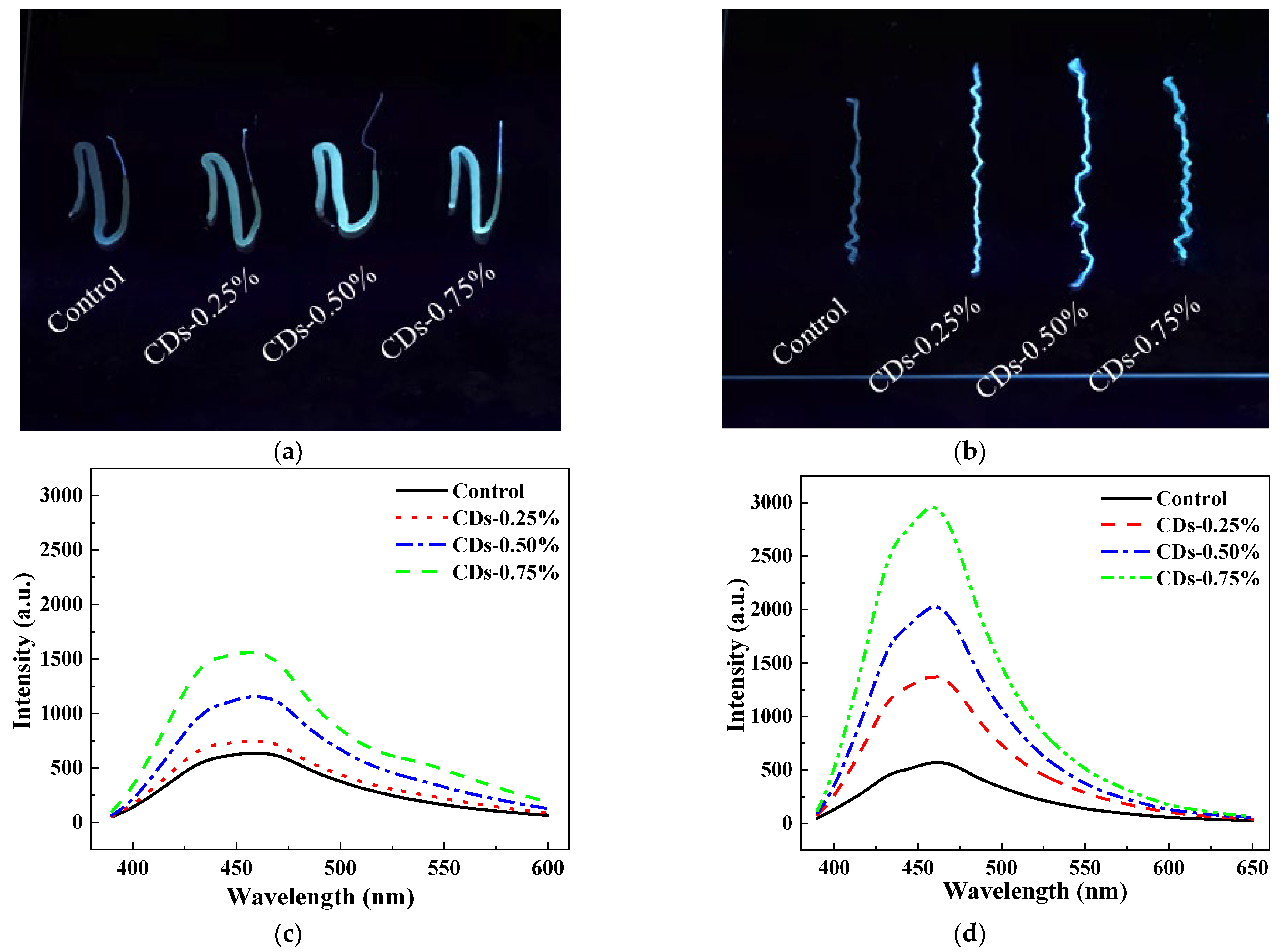 Coatings 13 00031 g006