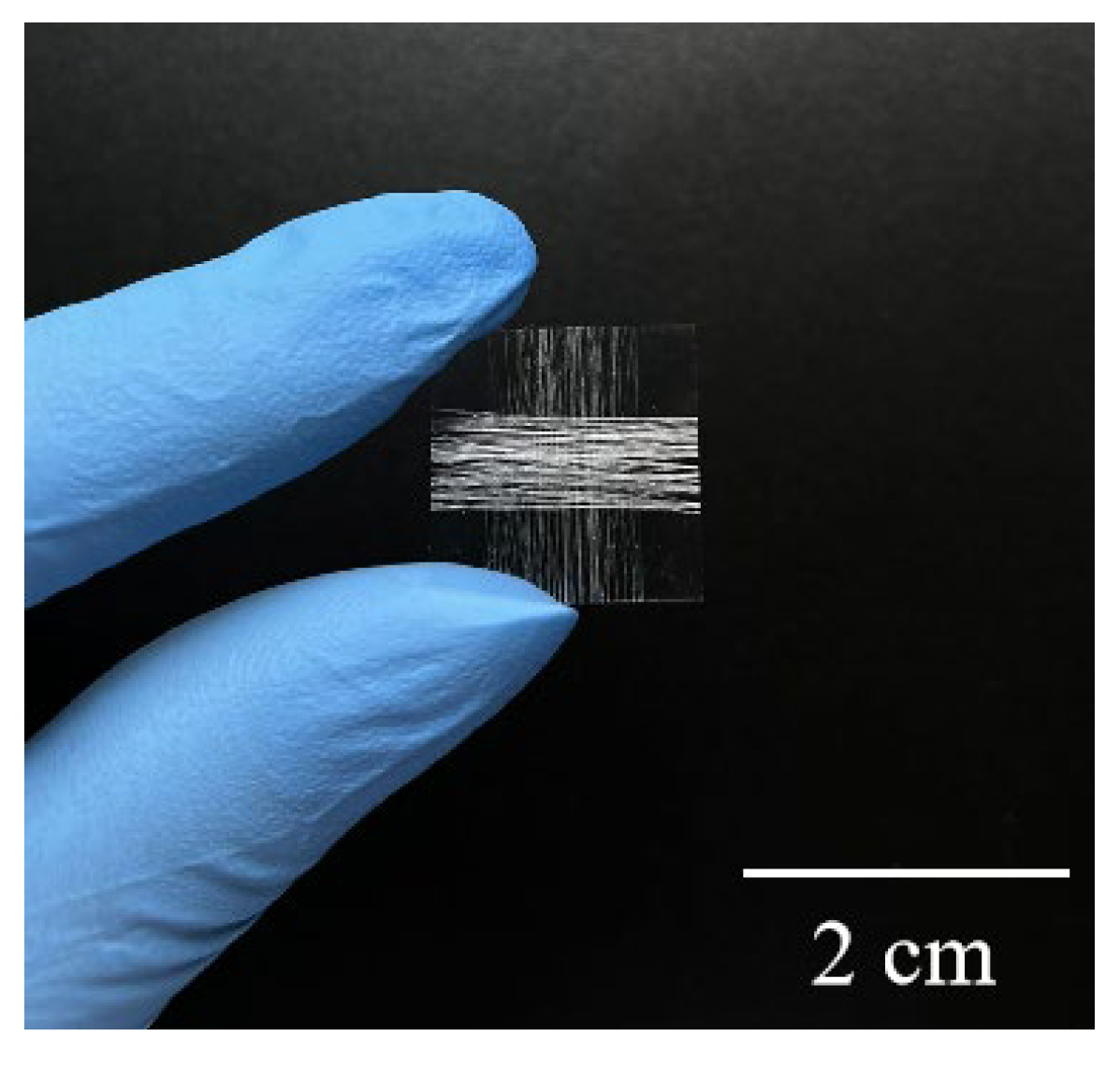 Coatings 13 00031 g010