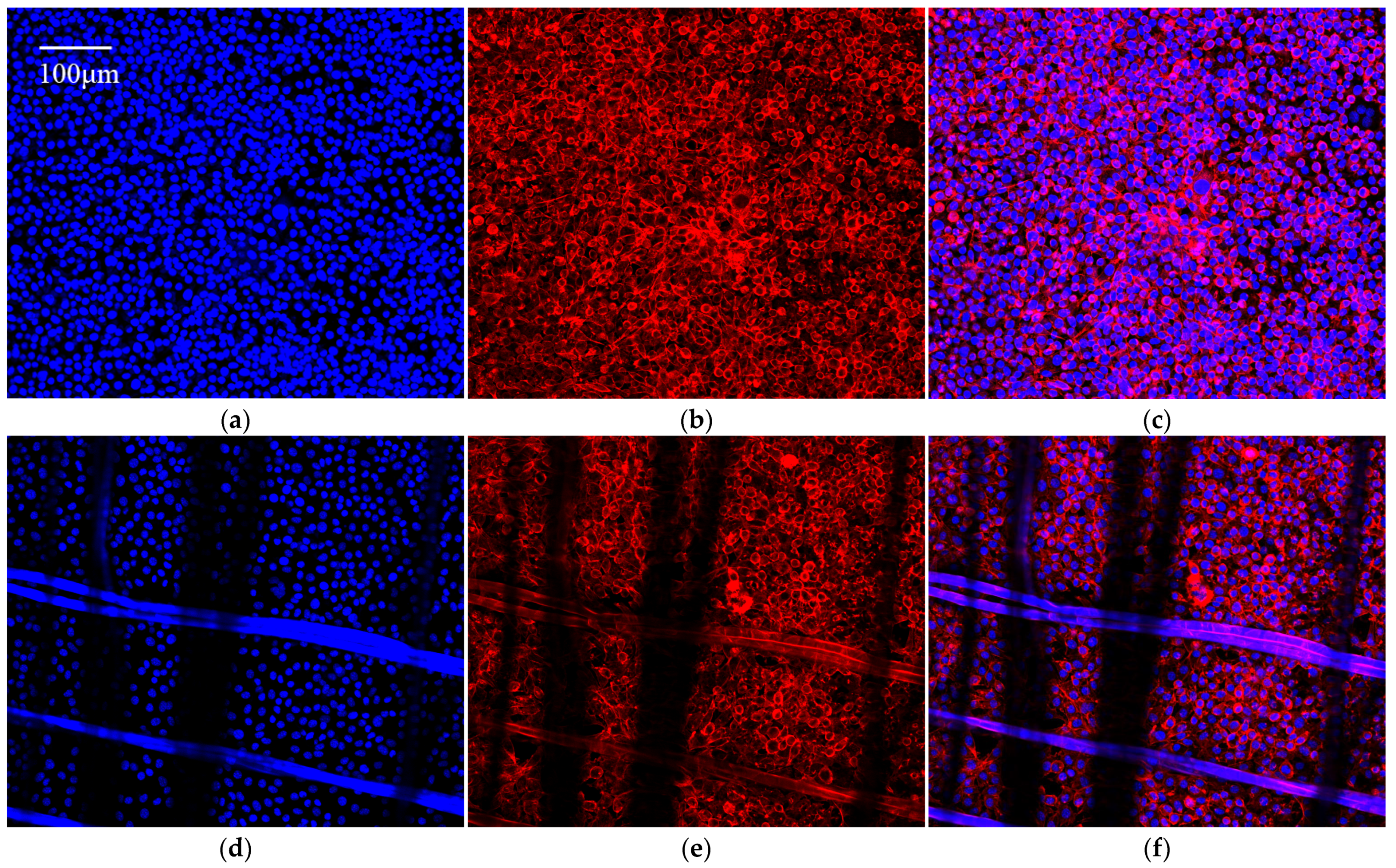 Coatings 13 00031 g012a