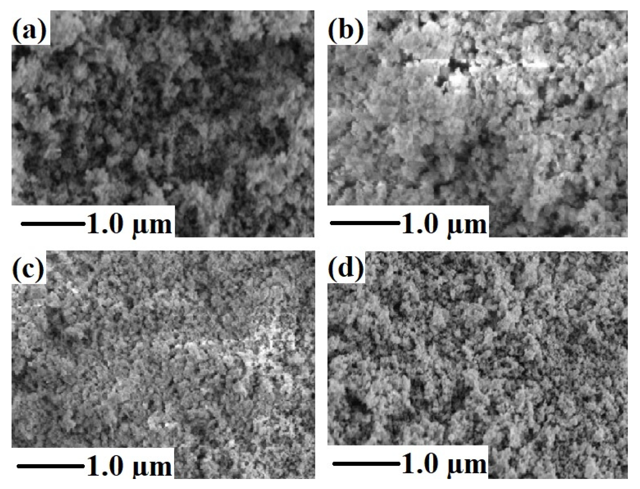 Coatings 13 00034 g006