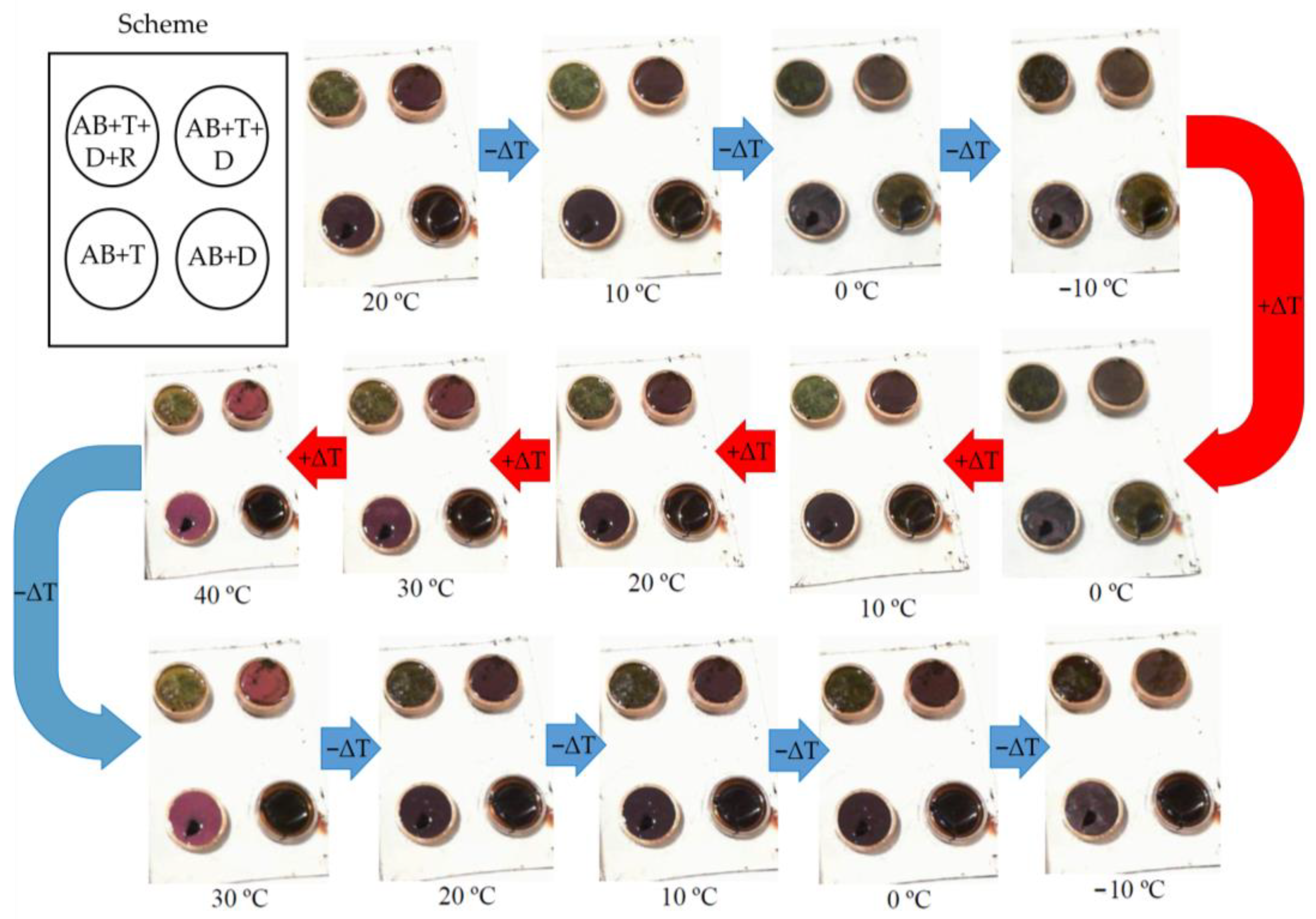 Coatings 13 00035 g006