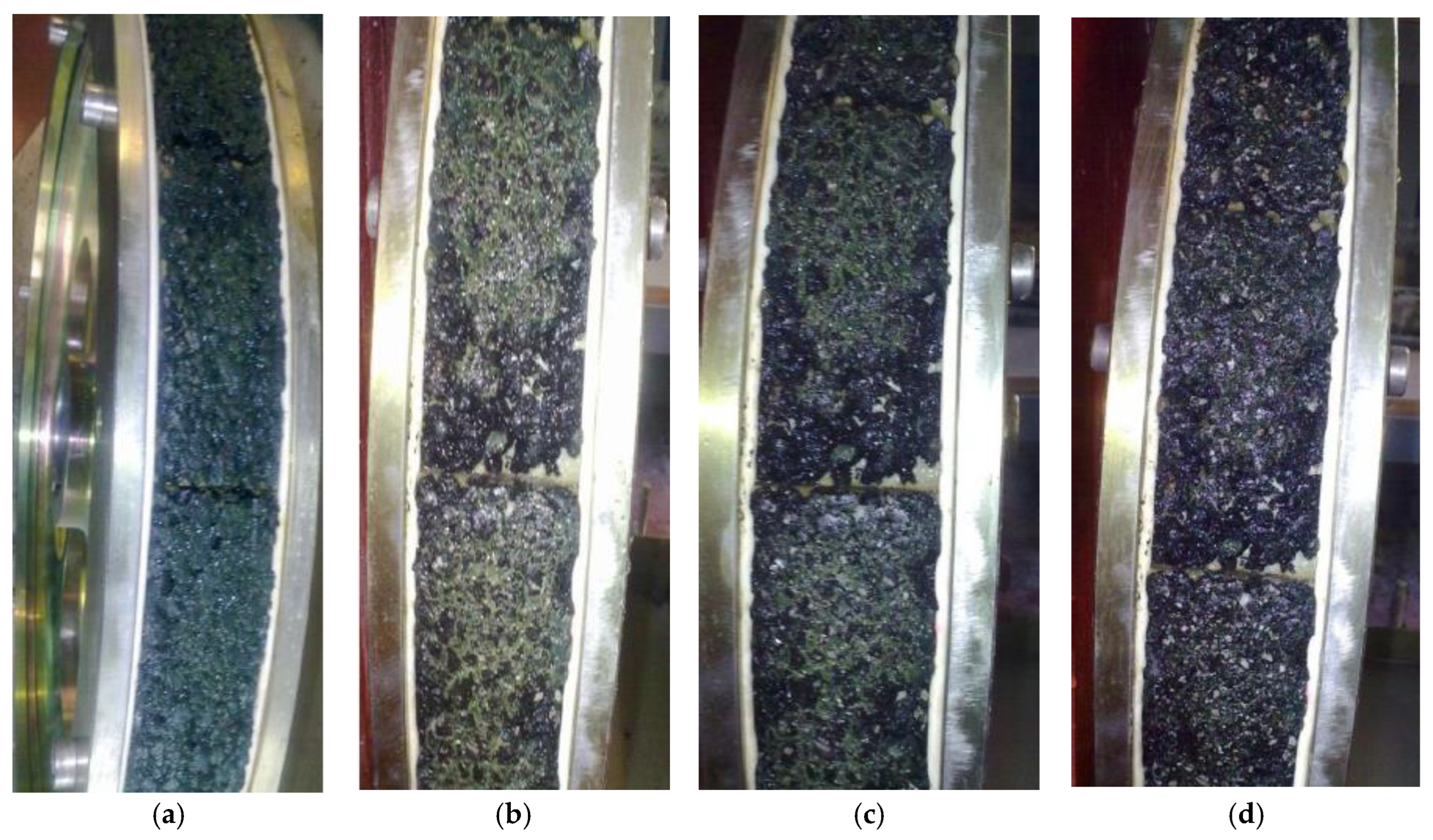 Coatings 13 00035 g008