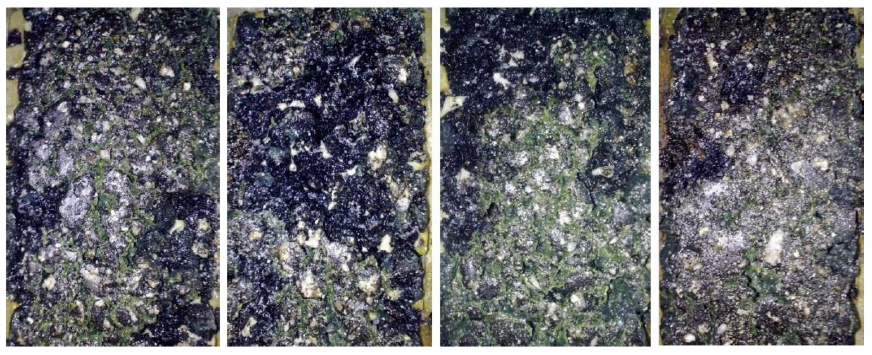 Coatings 13 00035 g009