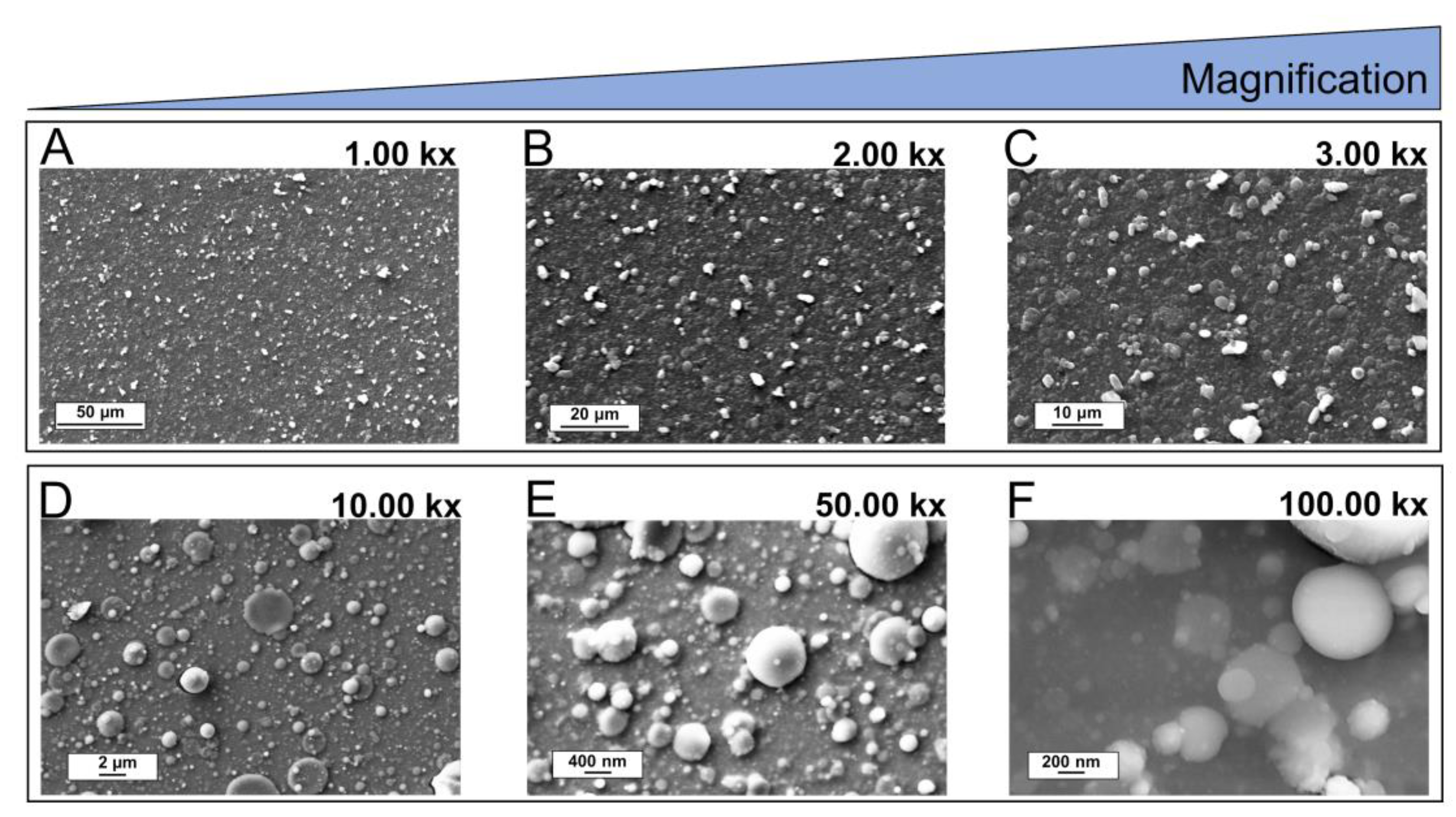 Coatings 13 00036 g007 Coatings 13 00036 g007