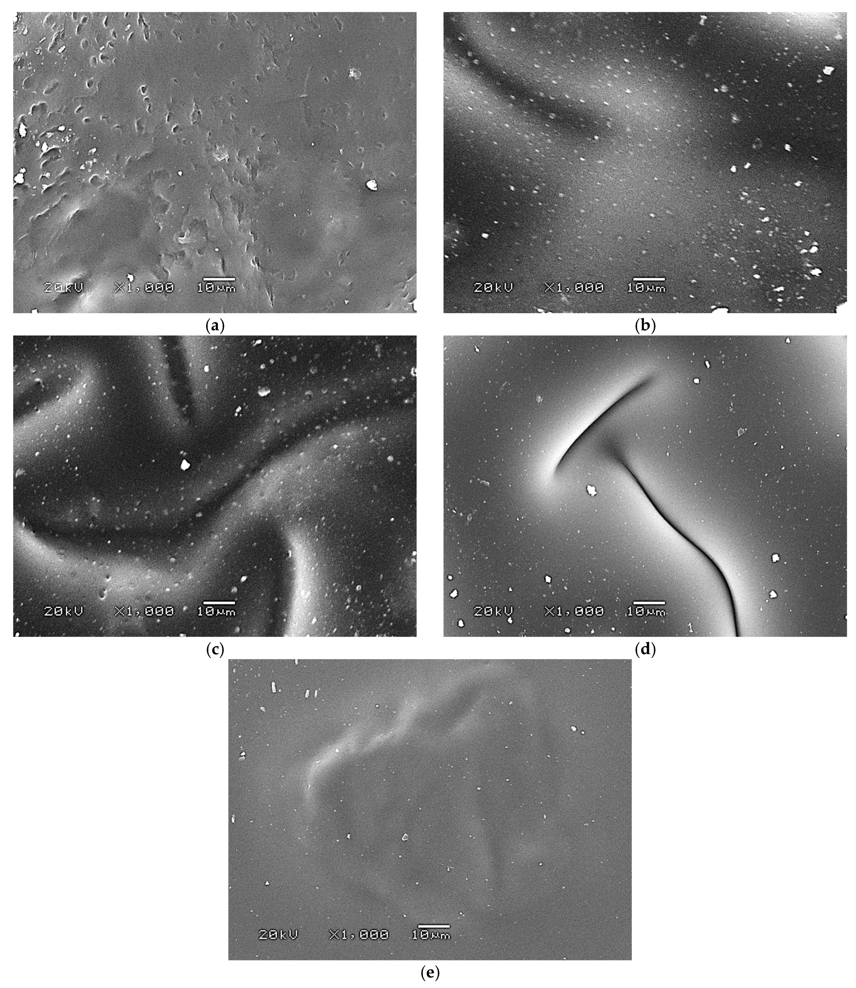 Coatings 13 00040 g009 Coatings 13 00040 g009