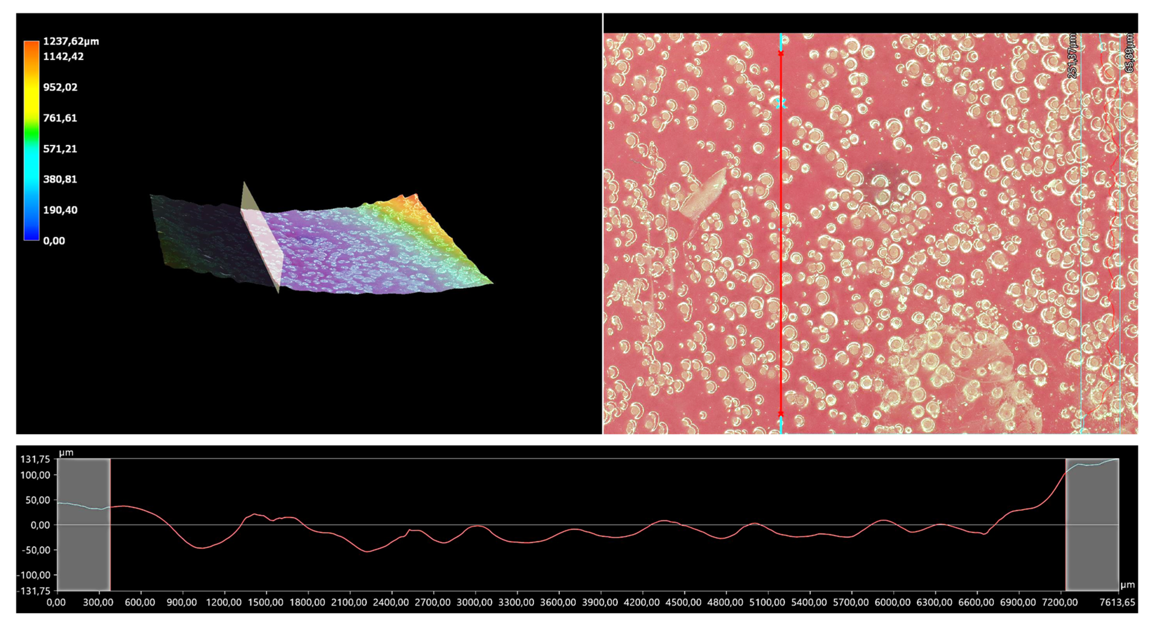 Coatings 13 00040 g010 Coatings 13 00040 g010