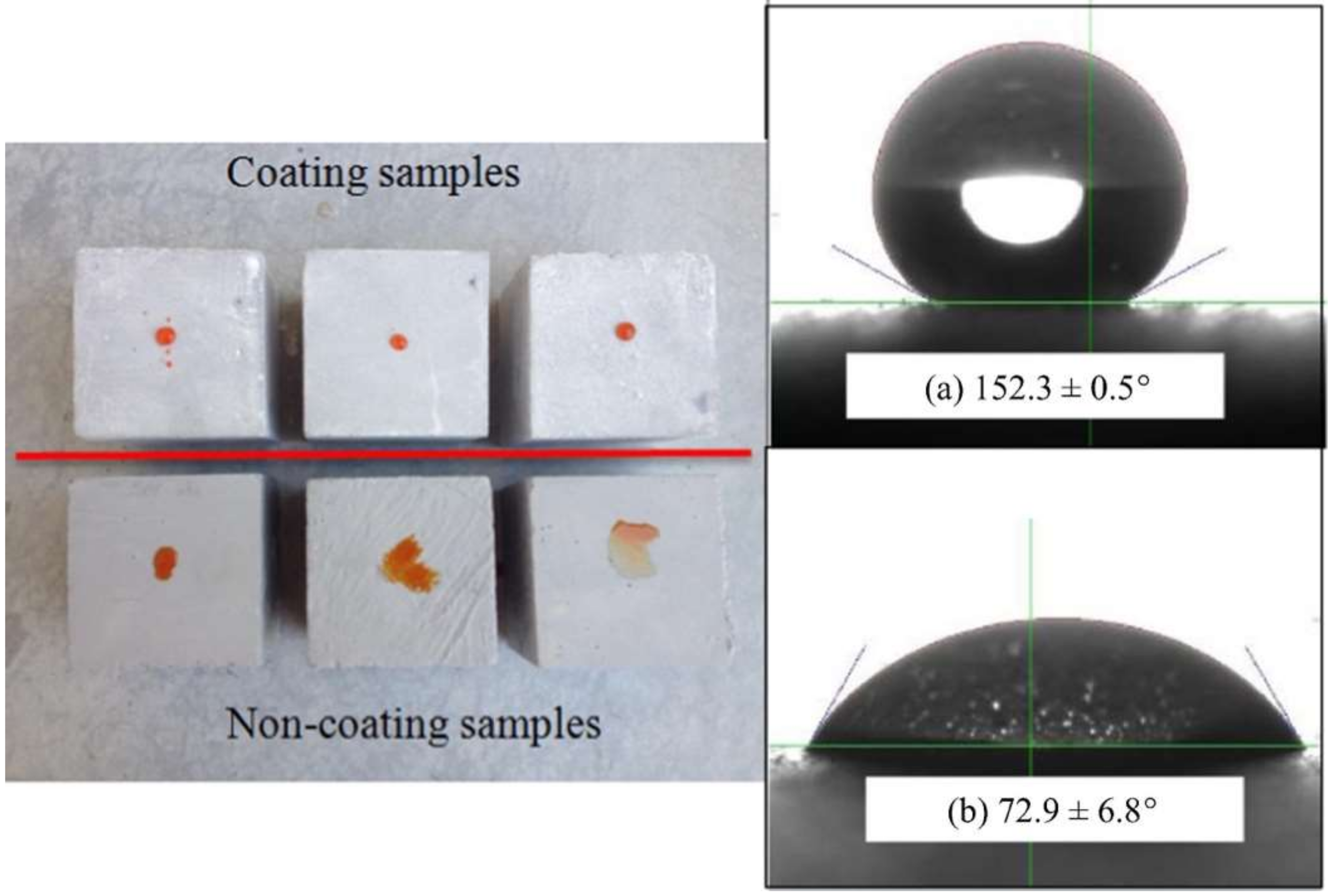 Coatings 13 00044 g004