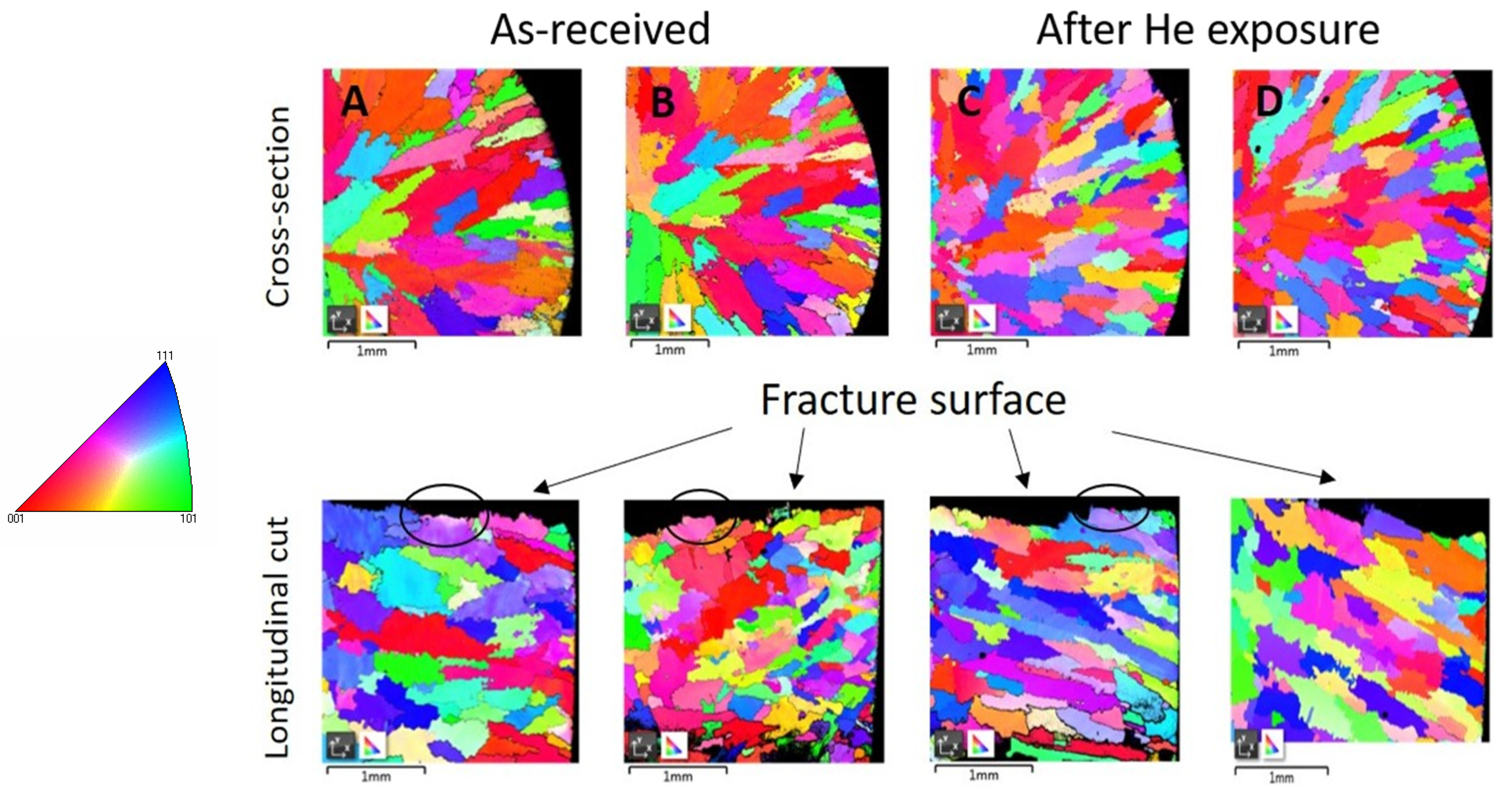 Coatings 13 00045 g002
