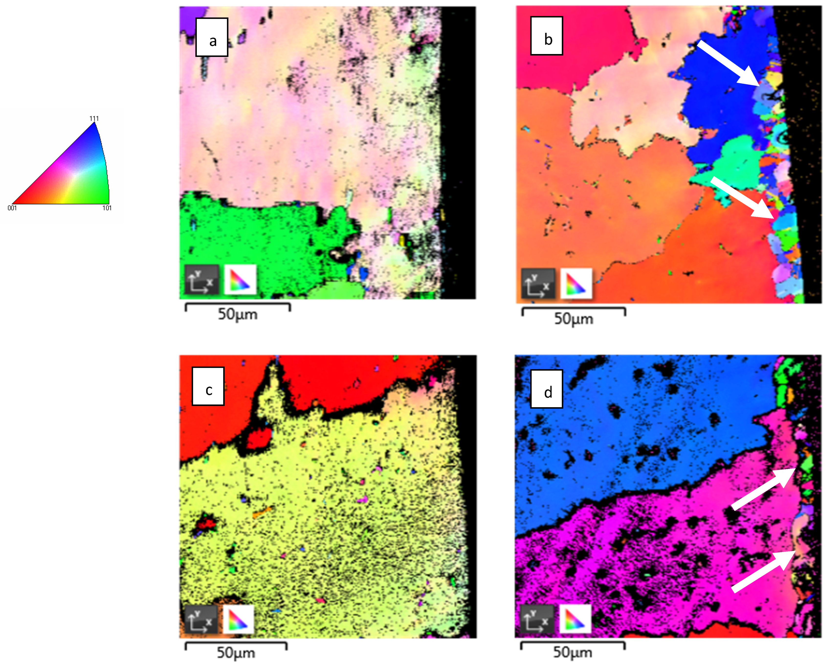Coatings 13 00045 g003