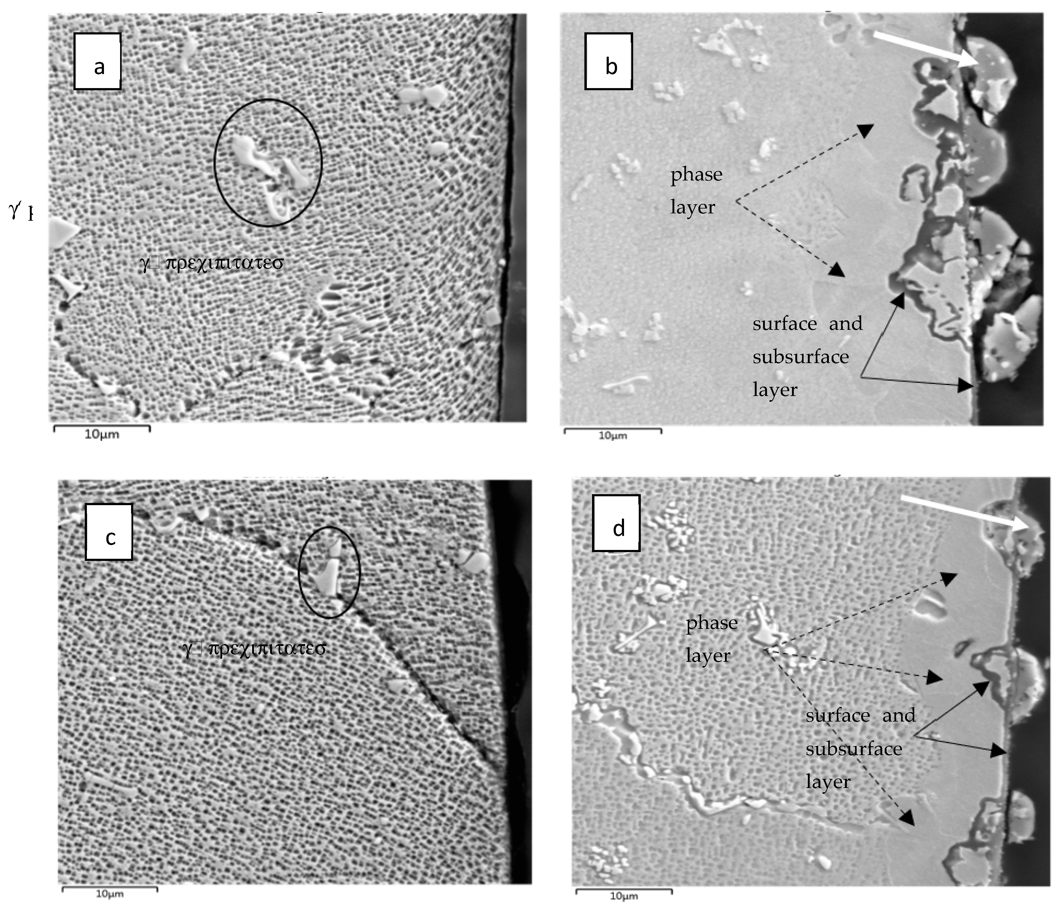 Coatings 13 00045 g004