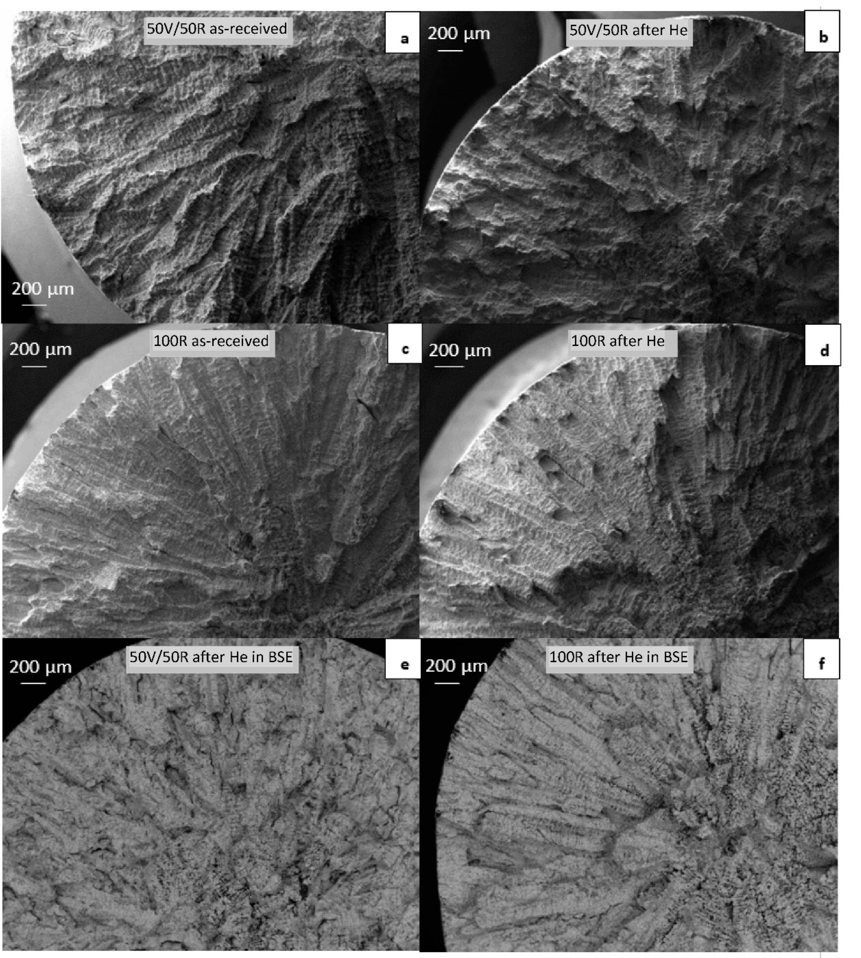 Coatings 13 00045 g010