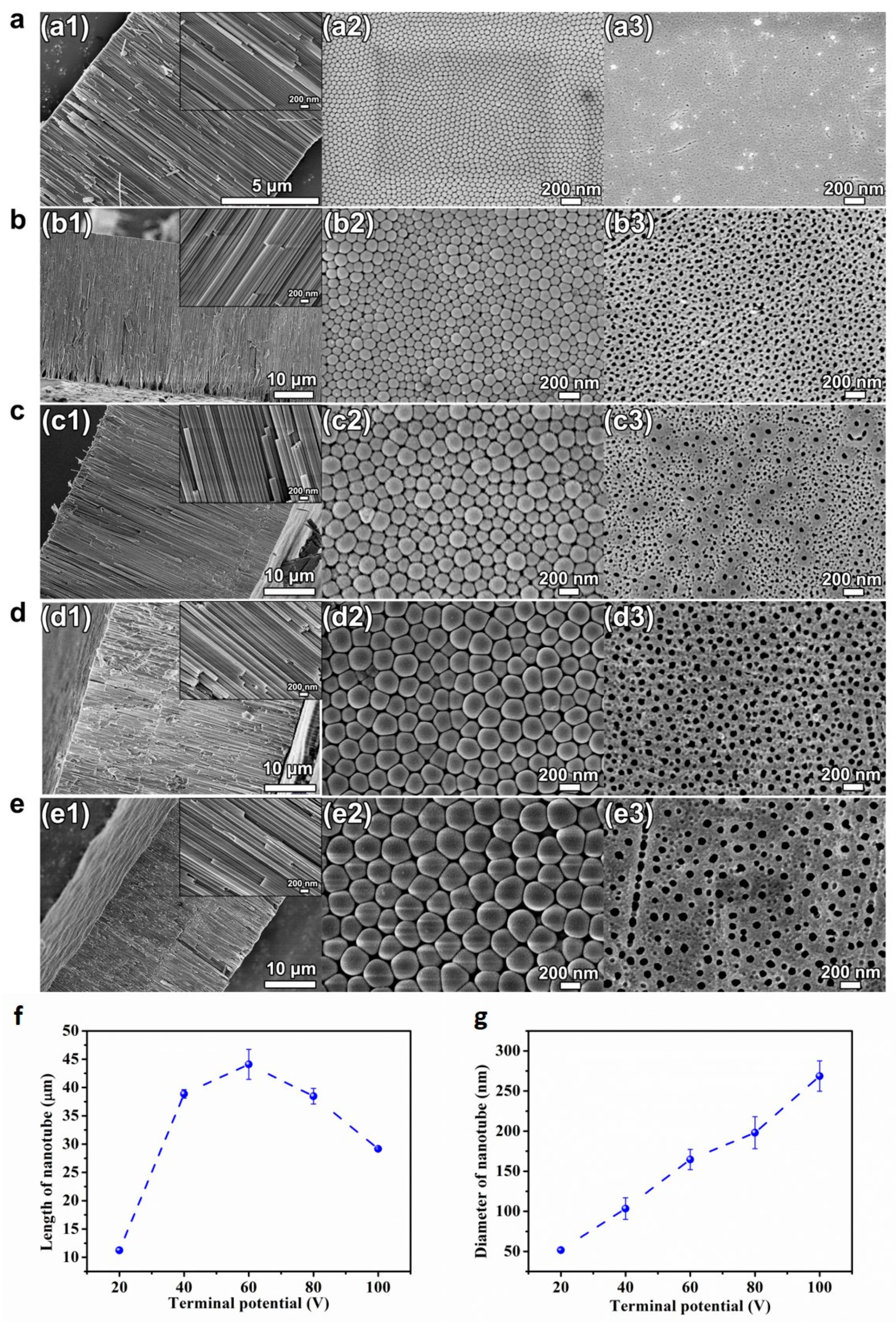 Coatings 13 00046 g001