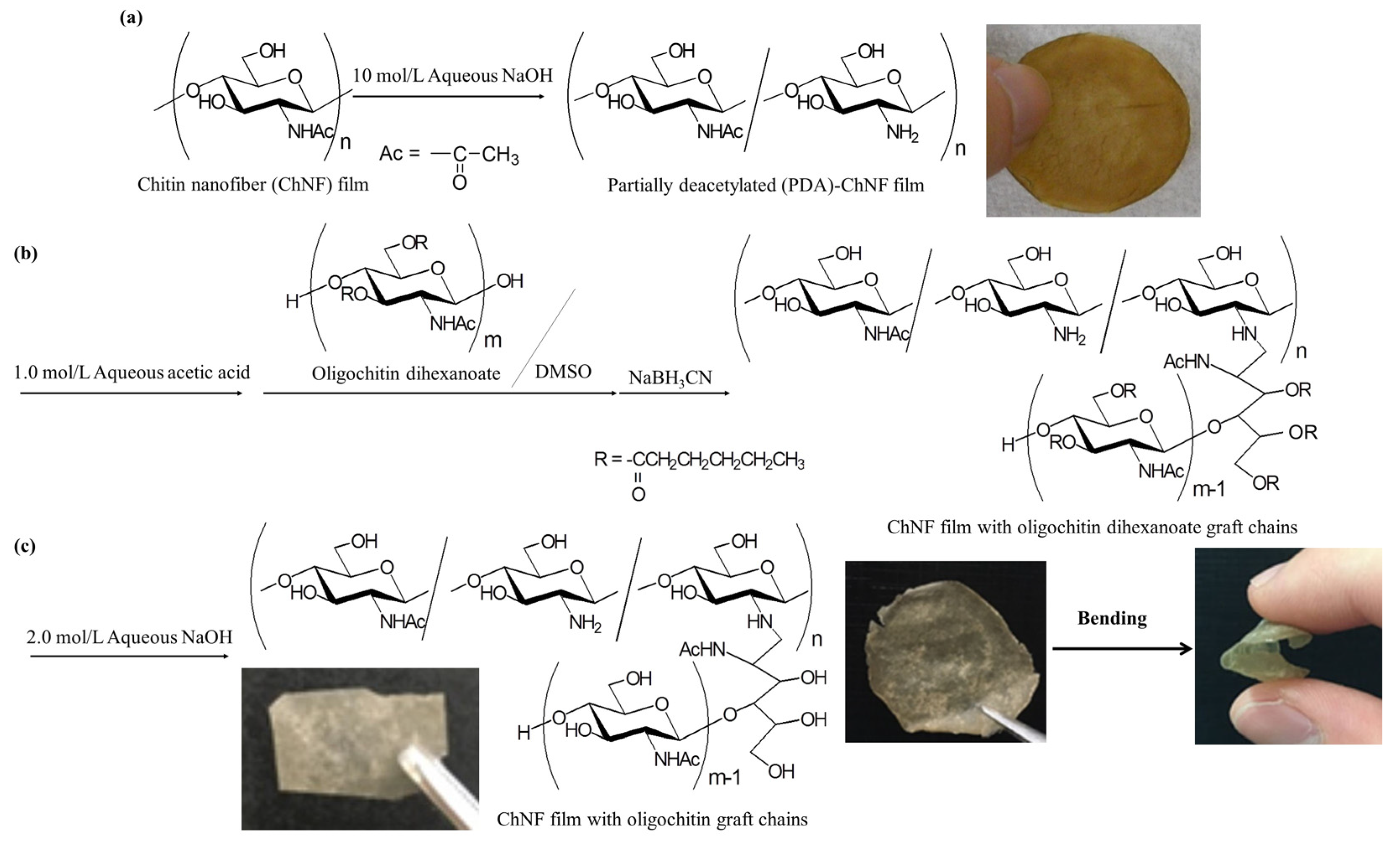 Coatings 13 00047 g001