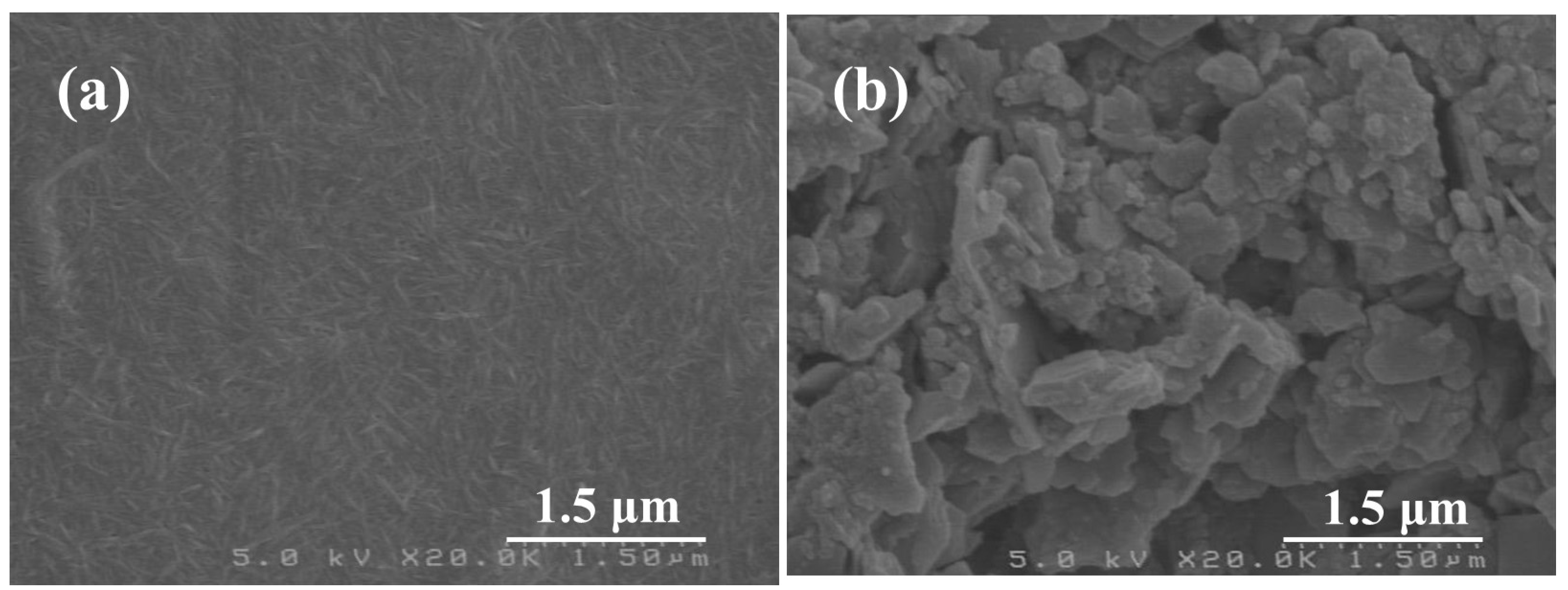 Coatings 13 00047 g003