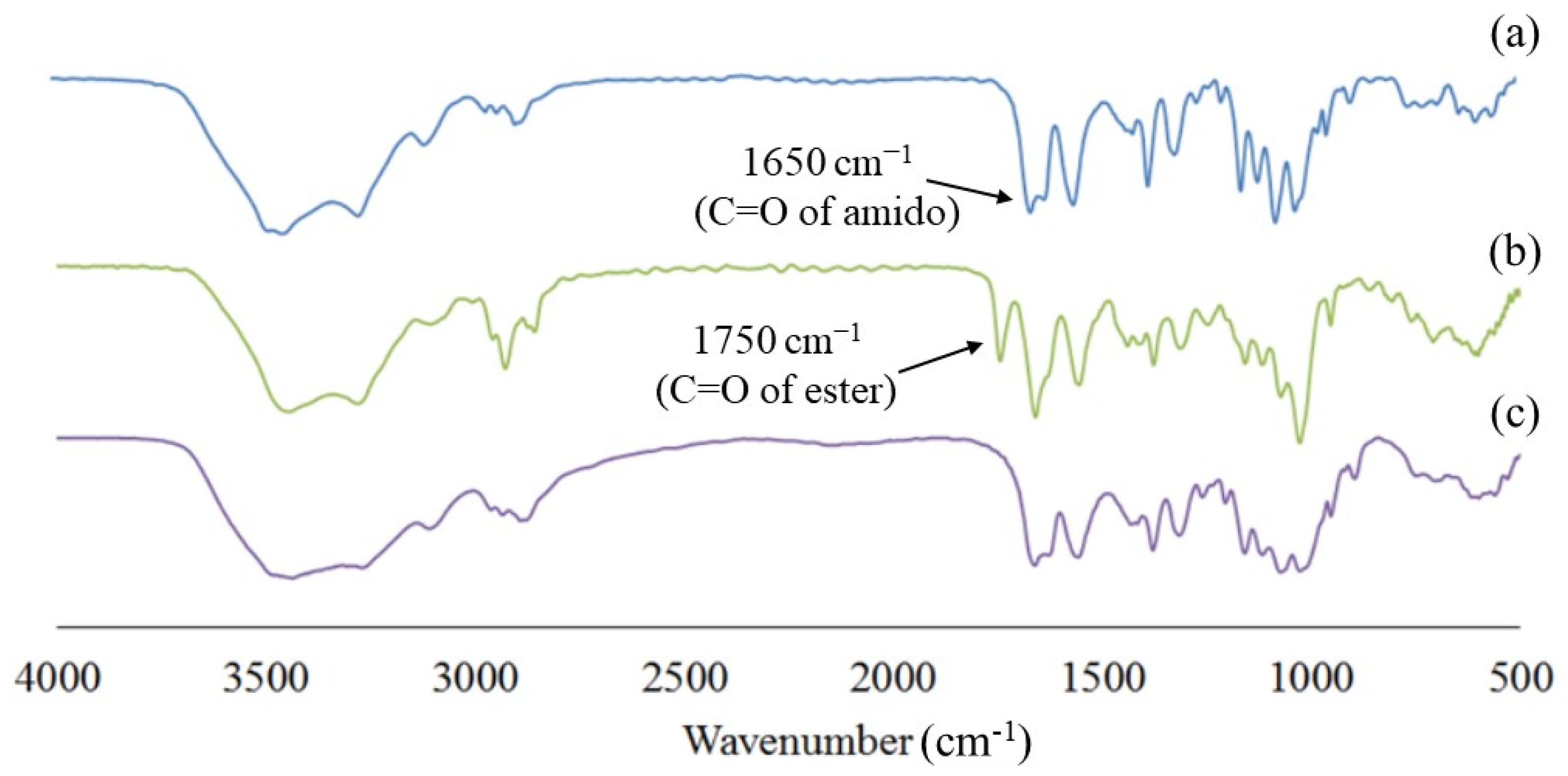 Coatings 13 00047 g005