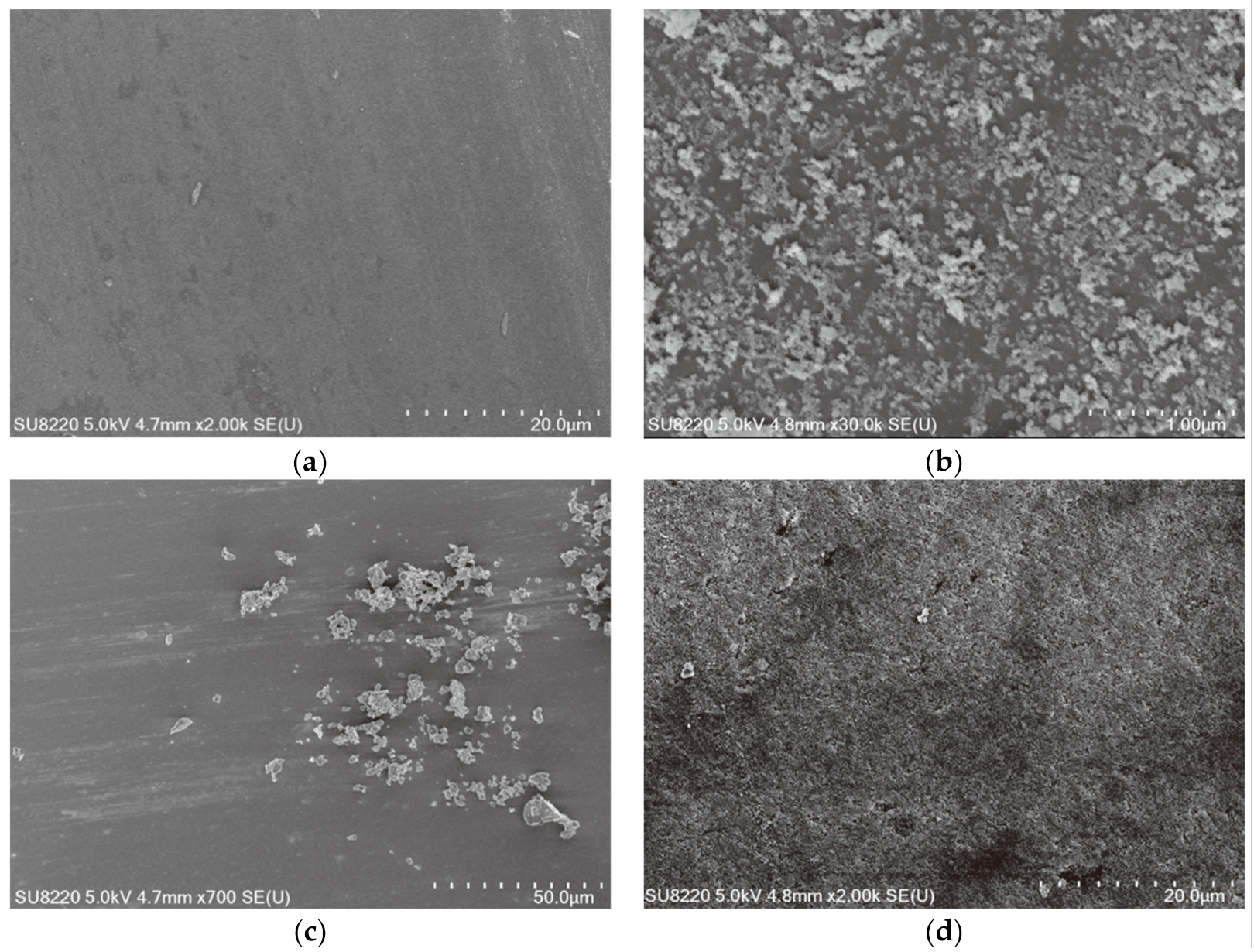 Coatings 13 00049 g010 Coatings 13 00049 g010