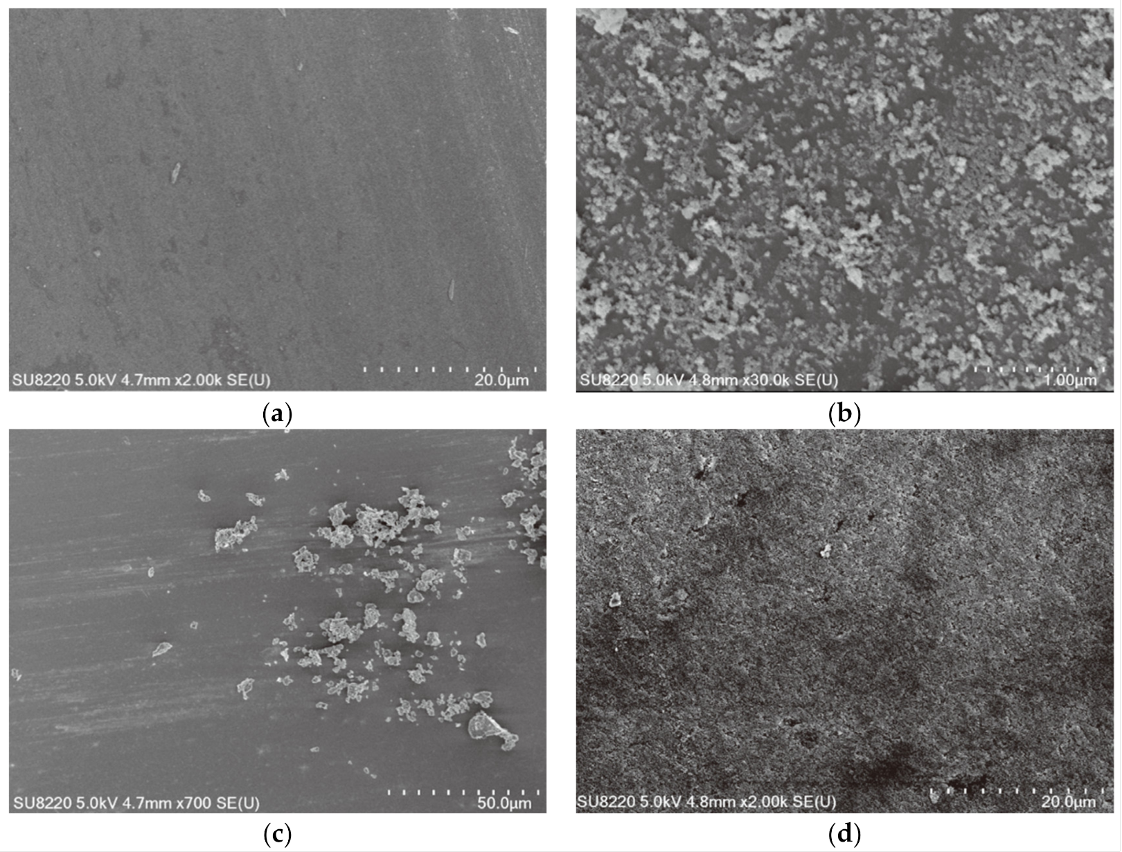 Coatings 13 00049 g011 Coatings 13 00049 g011