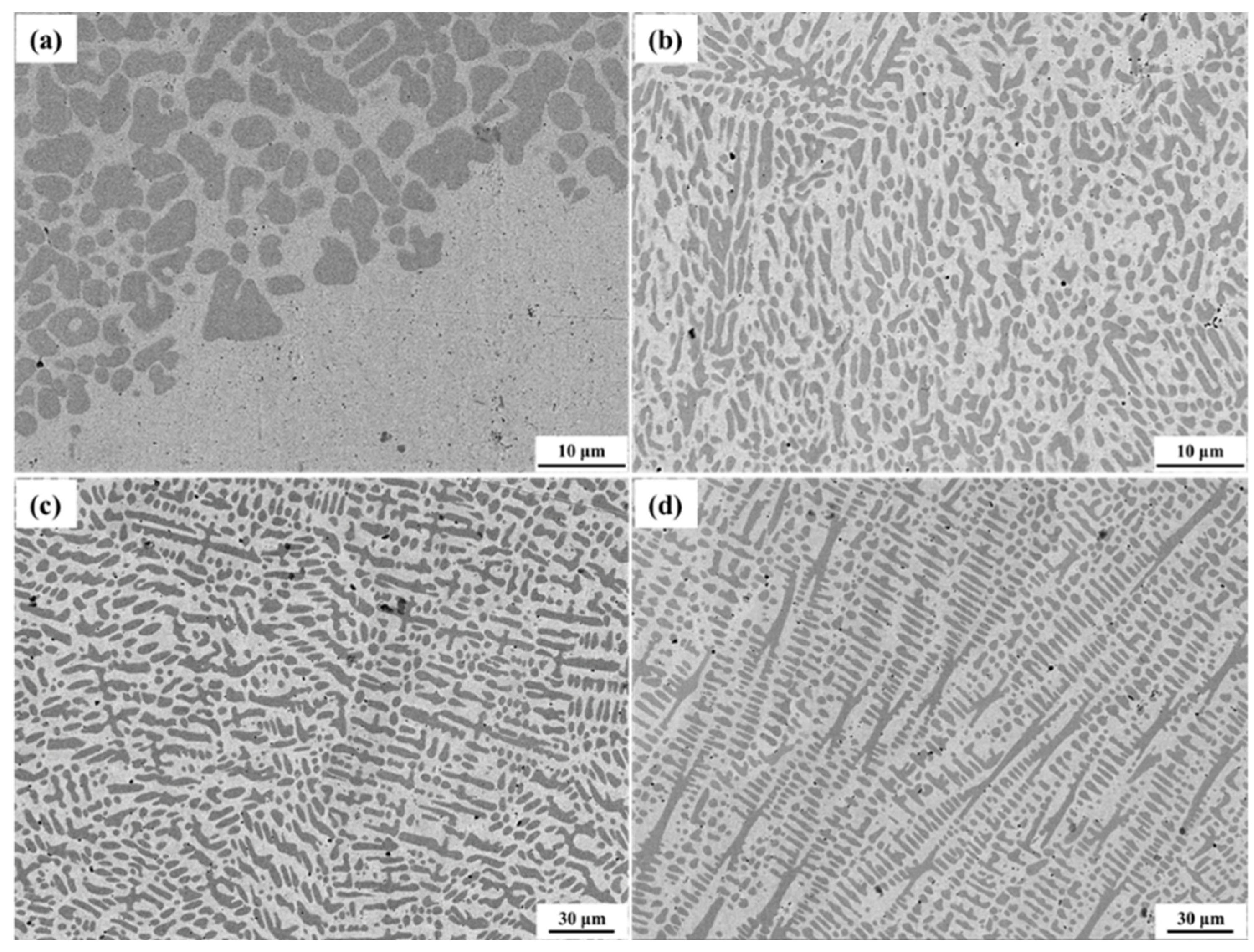 Coatings 13 00052 g004