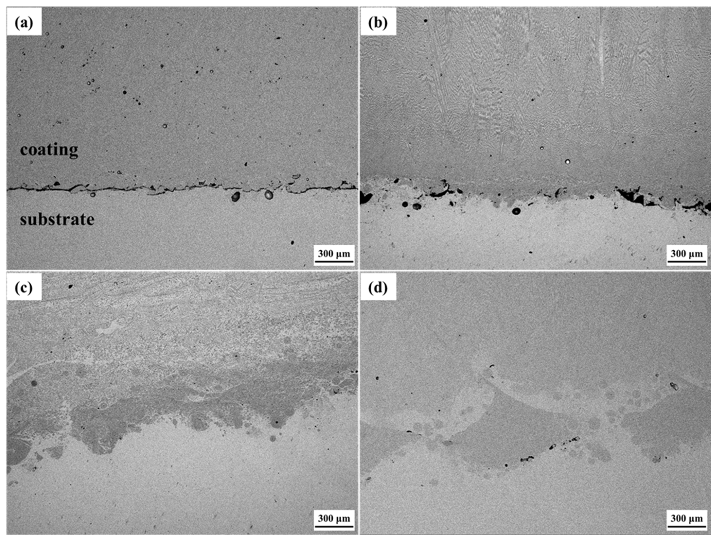 Coatings 13 00052 g005