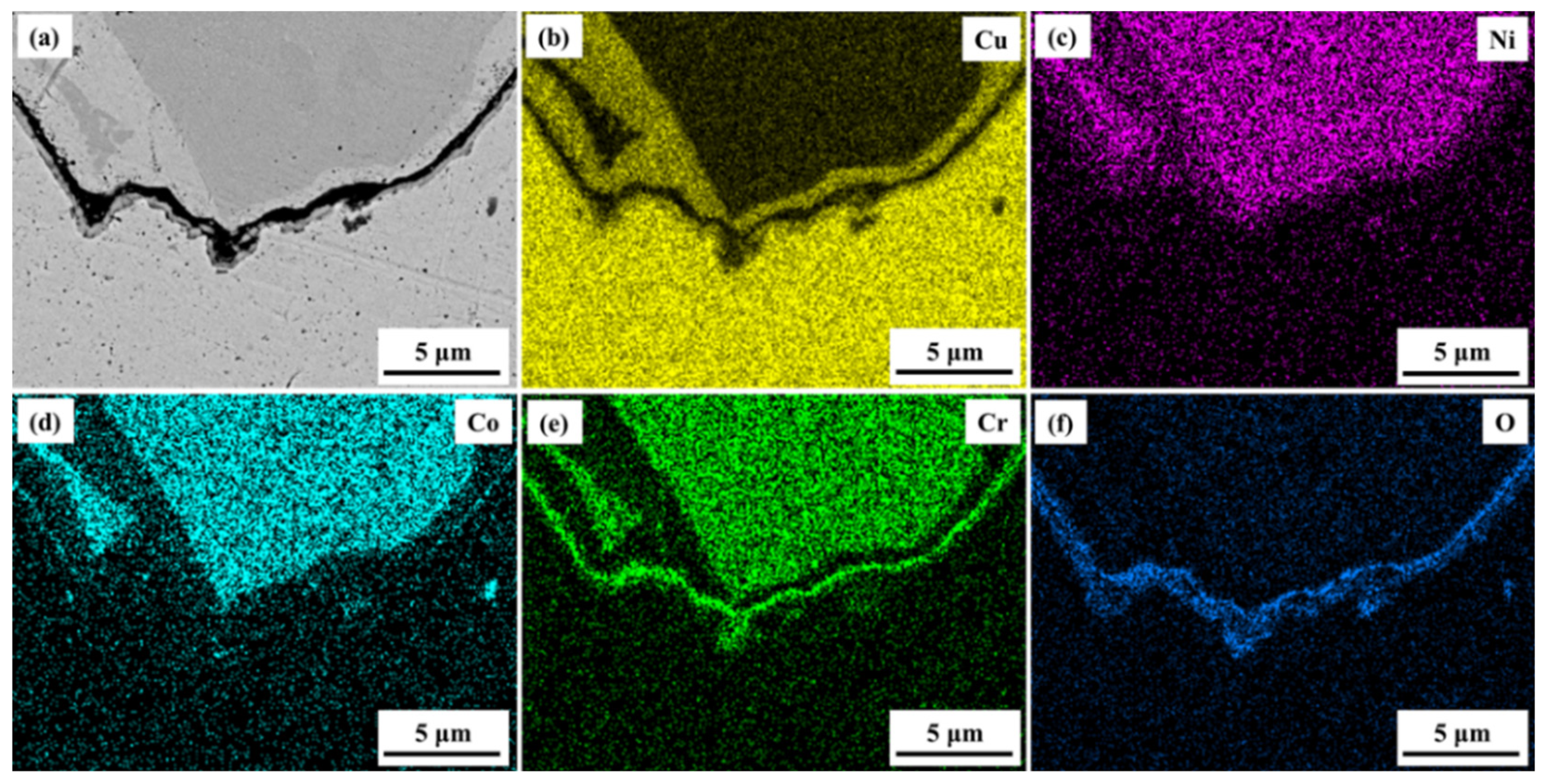Coatings 13 00052 g006