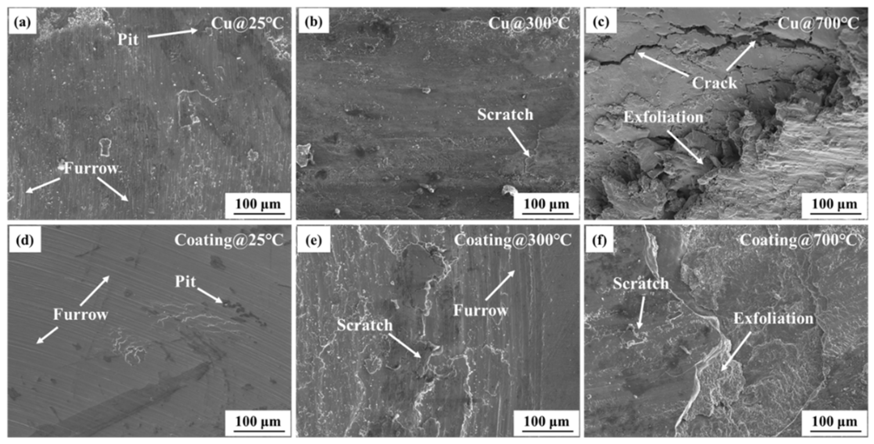 Coatings 13 00052 g012
