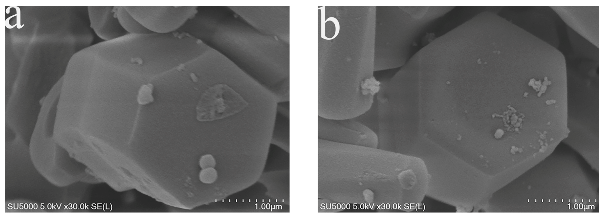 Coatings 13 00057 g001