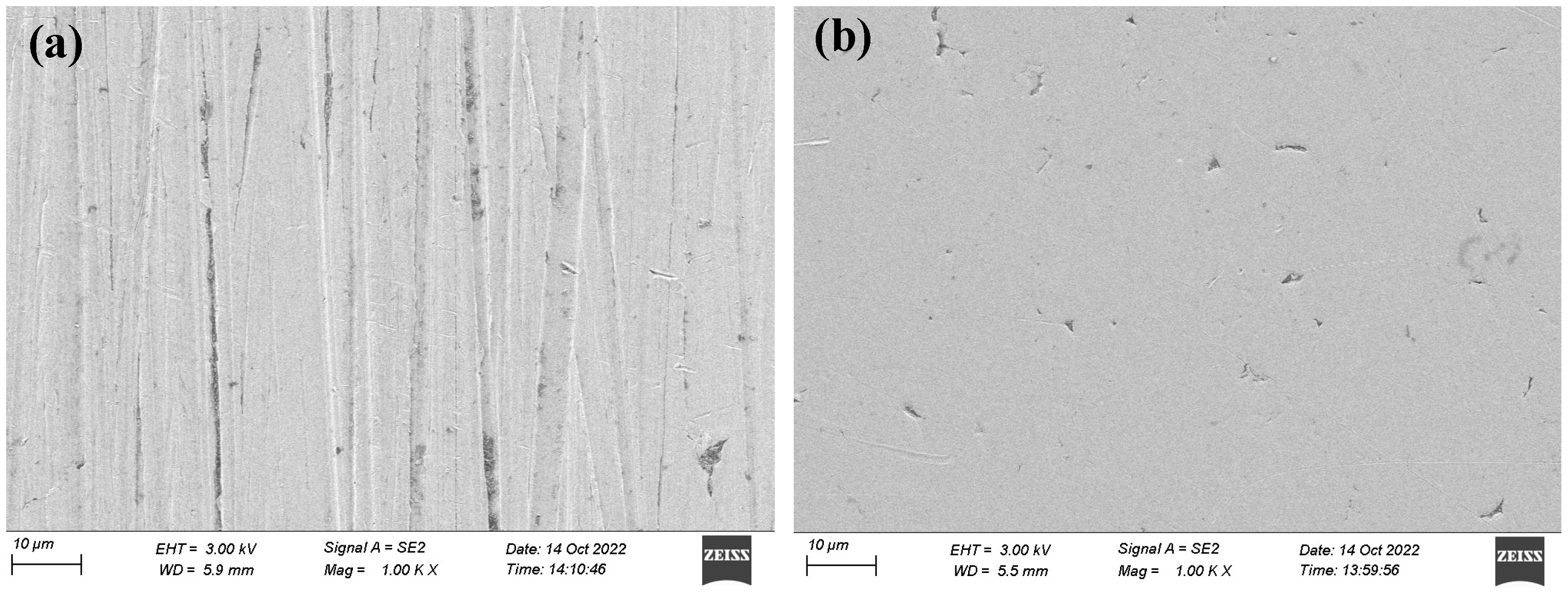 Coatings 13 00060 g002