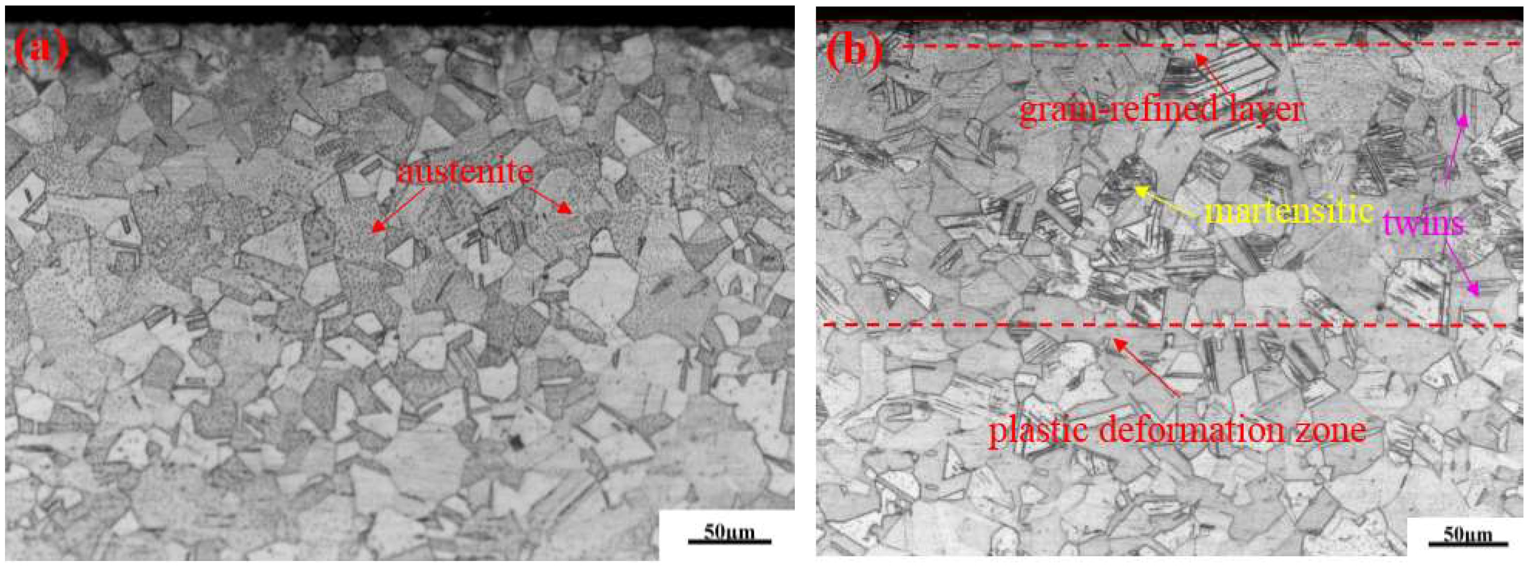 Coatings 13 00060 g003
