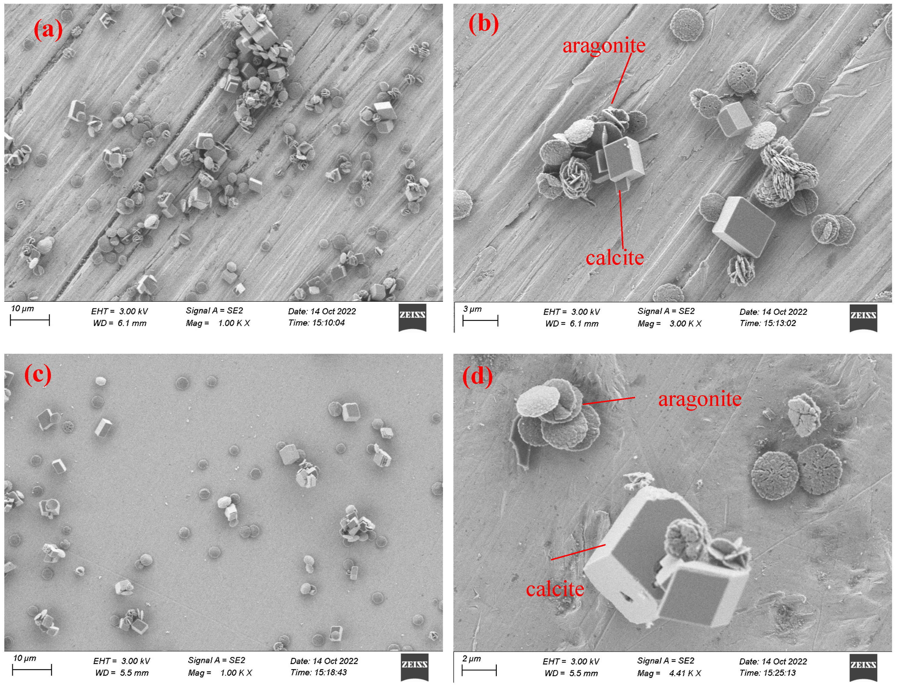 Coatings 13 00060 g008