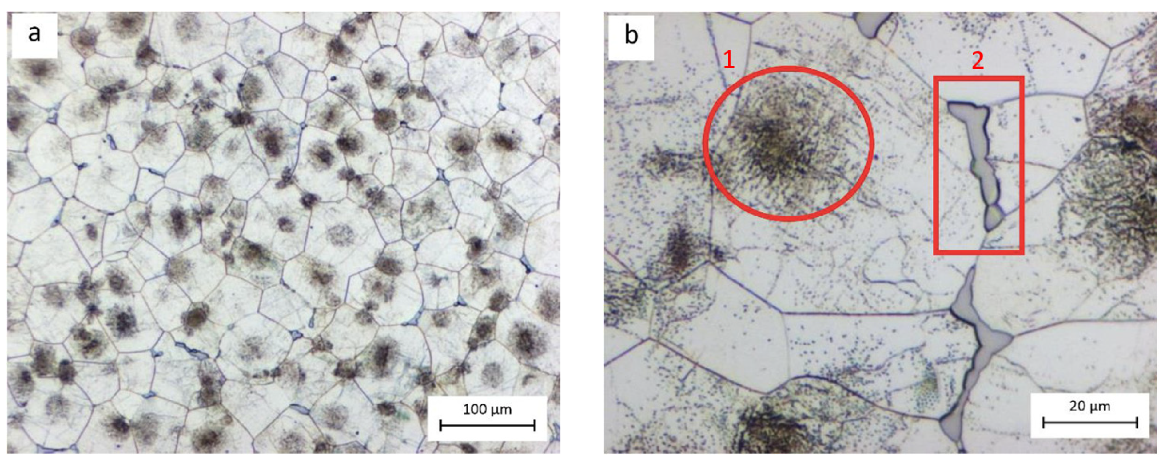 Coatings 13 00062 g001