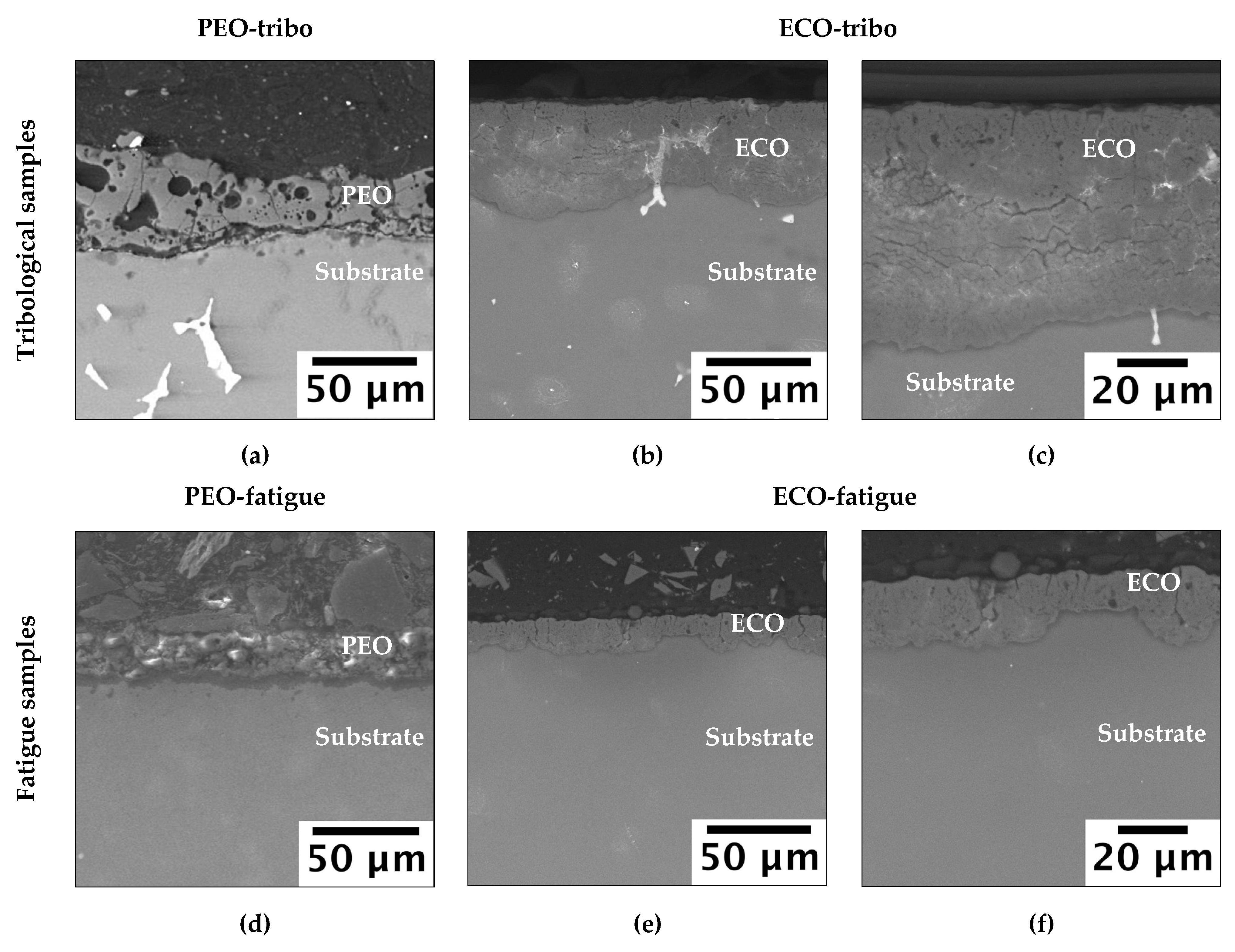Coatings 13 00062 g003