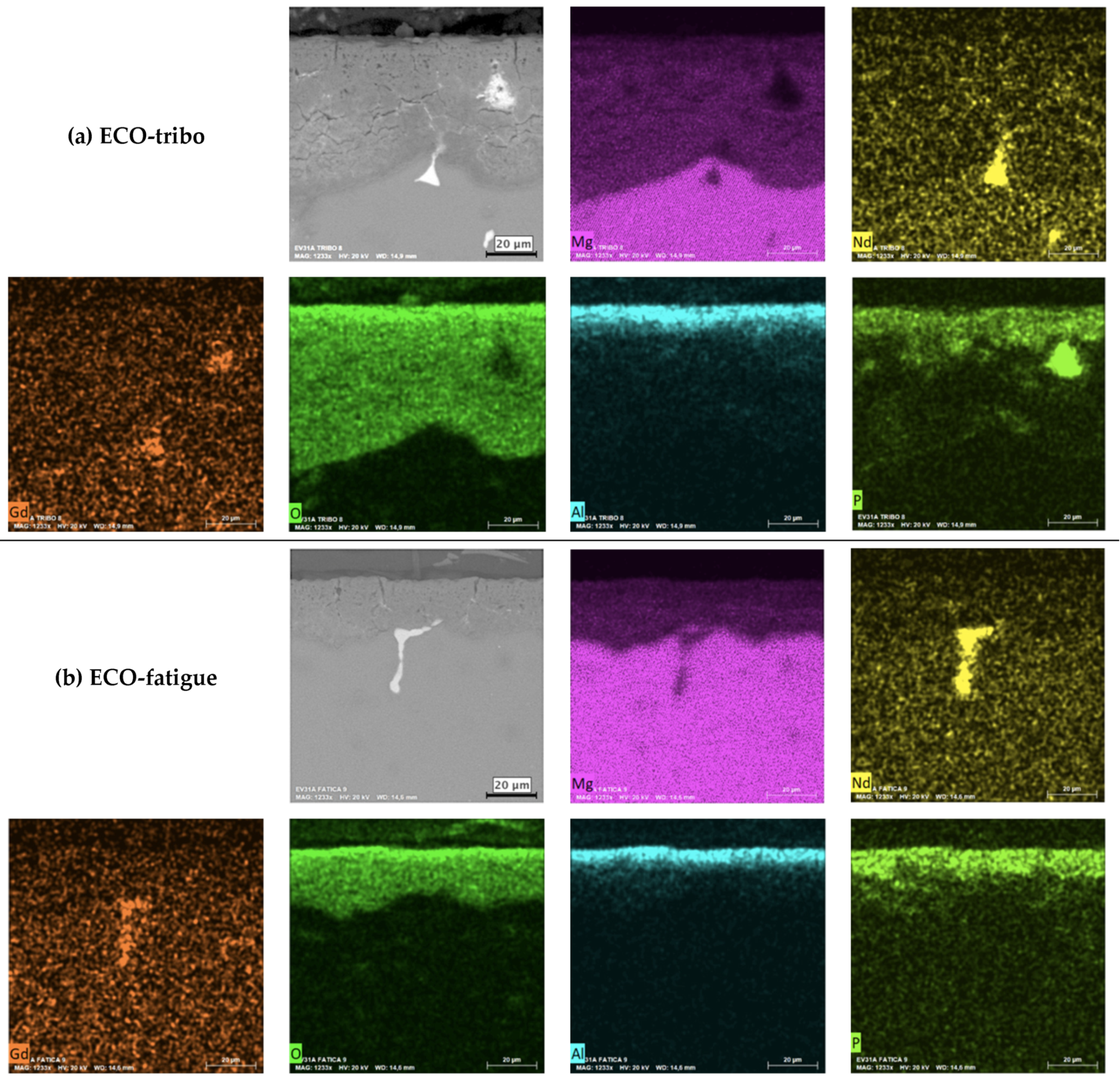 Coatings 13 00062 g004