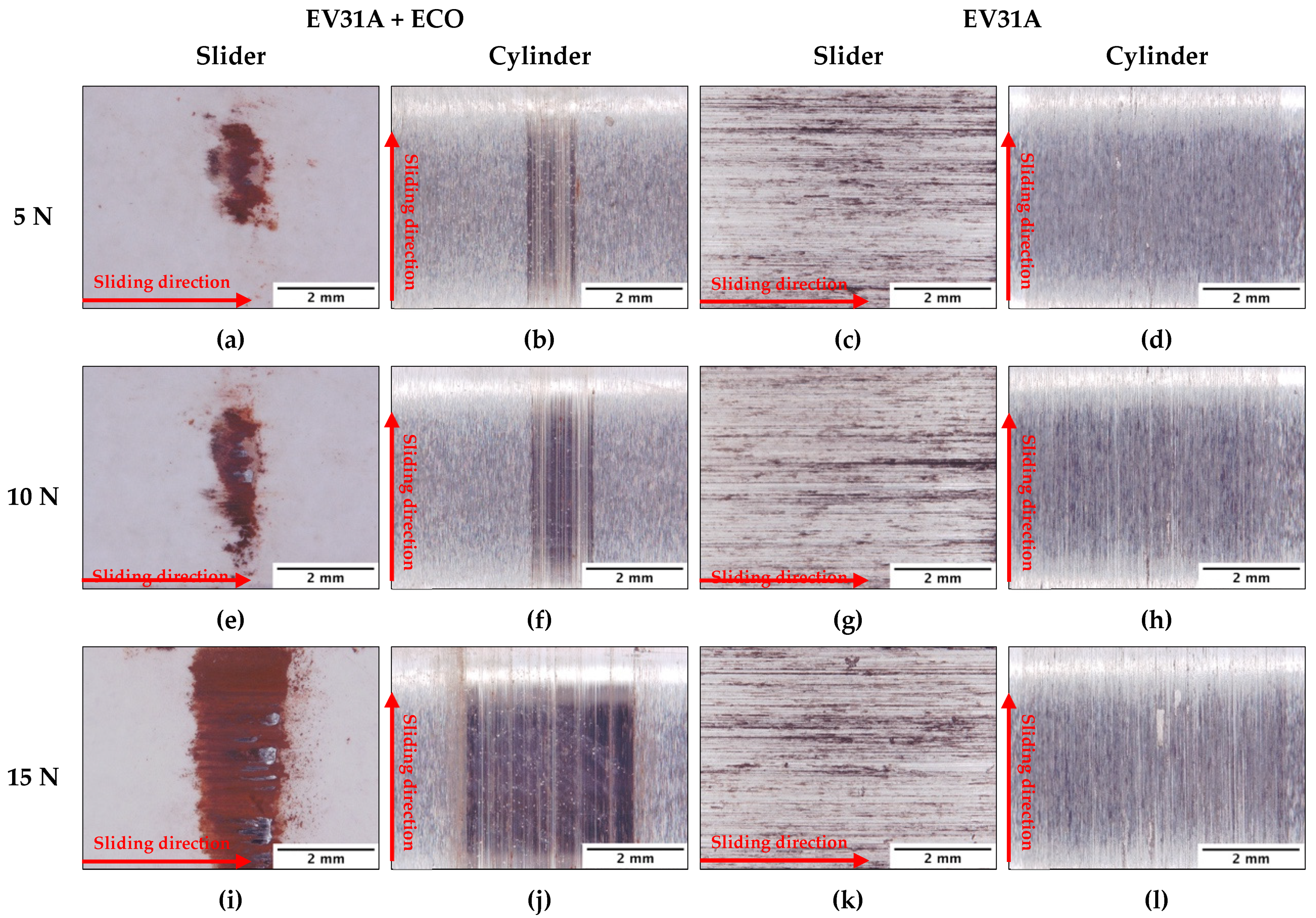 Coatings 13 00062 g008
